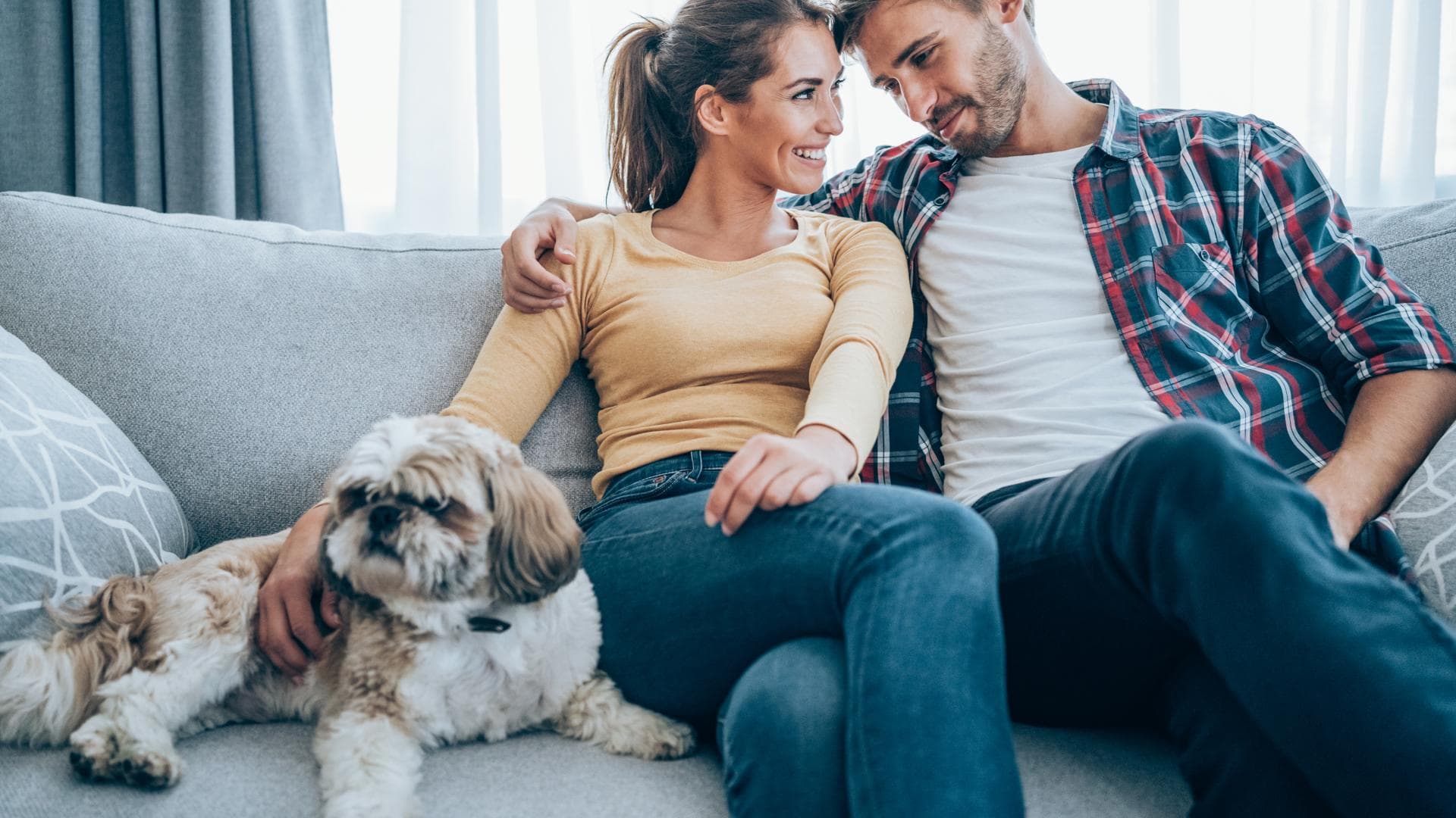 Ein glückliches Paar sitzt zusammen mit ihrem Hund auf der Couch Ein glückliches Paar sitzt zusammen mit ihrem Hund auf der Couch