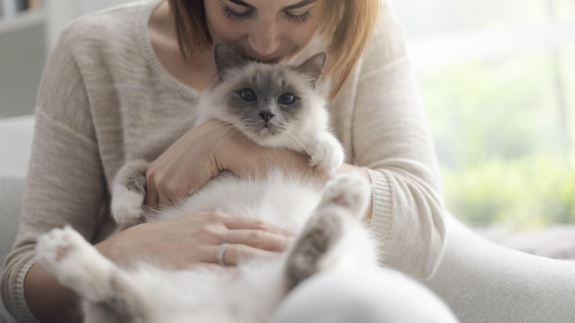 Frau riecht an ihrer Katze Frau riecht an ihrer Katze