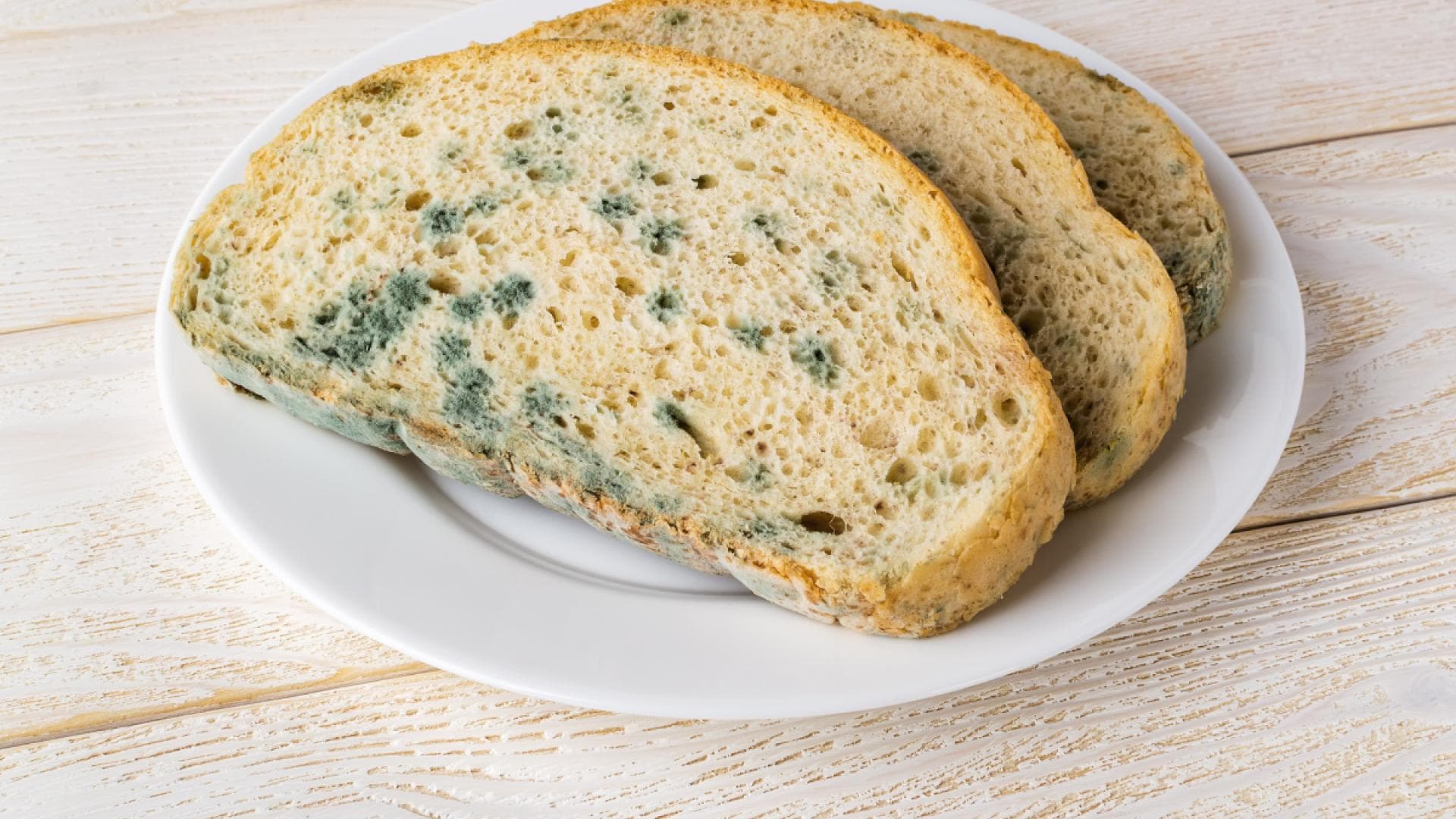Brotscheibe mit Schimmel Brotscheibe mit Schimmel