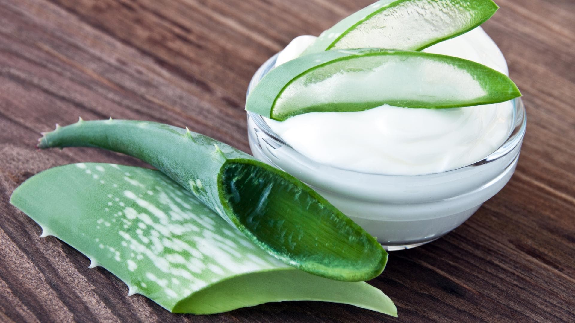 Selbstgemachte Aloe Vera Creme in einem Schälchen Selbstgemachte Aloe Vera Creme in einem Schälchen