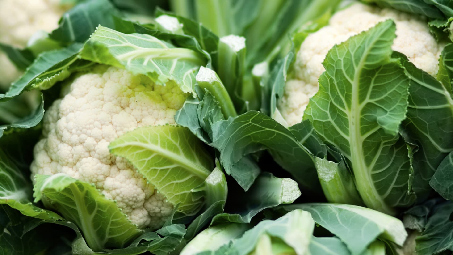Blumenkohl roh essen ist lecker und gesund; achten Sie beim Kauf auf Bio-Qualität. Blumenkohl