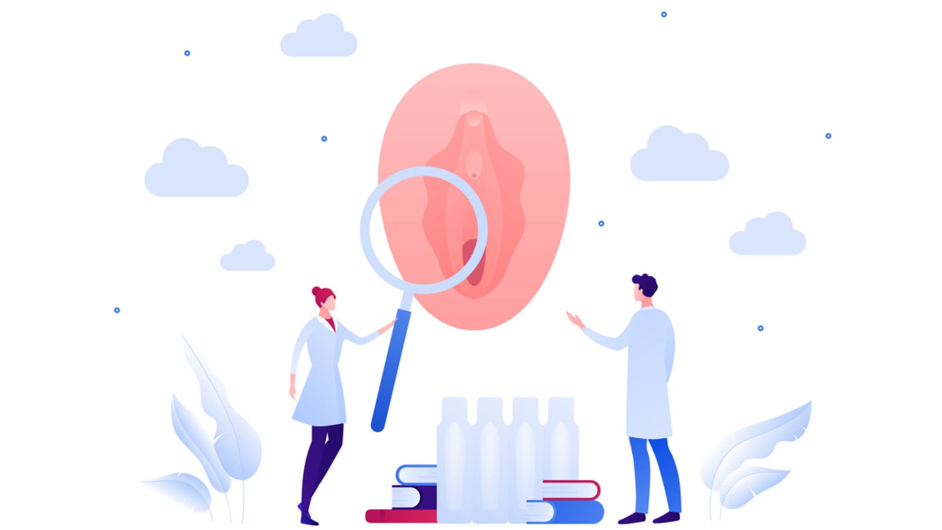 Ein Knubbel an der Schamlippe kann verschiedene Ursachen haben. Grafik einer Vulva