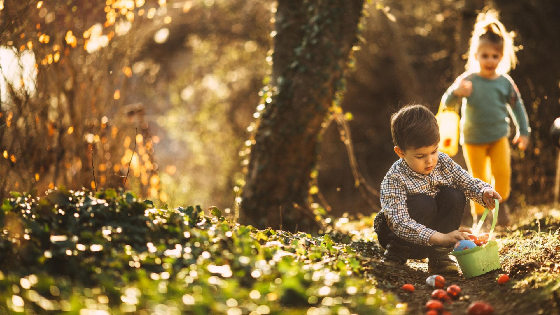 Ostern im Freien ist einfach schön Kinder sammeln Ostereier im Wald