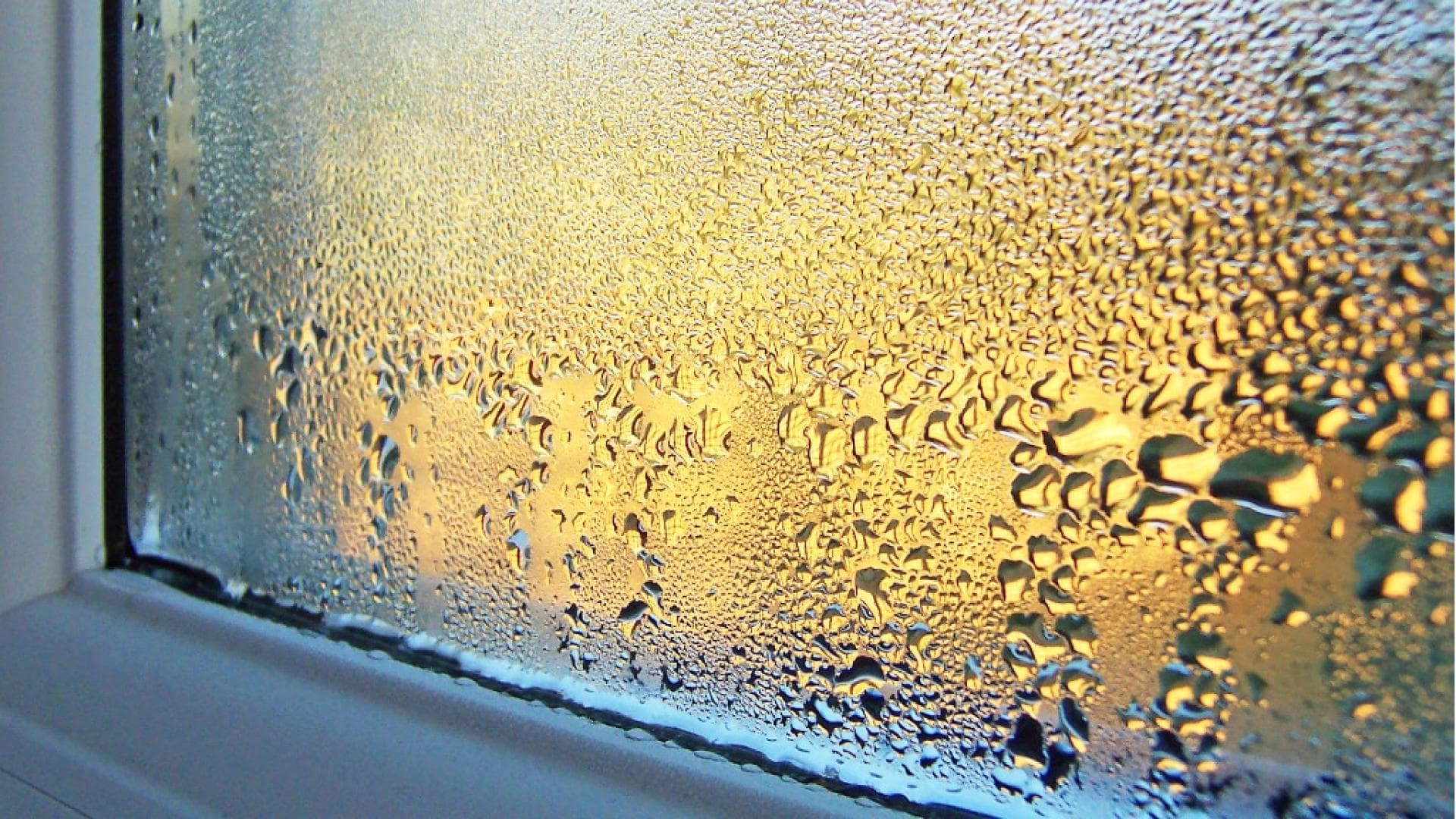 Feuchtigkeit im Schlafzimmer feuchte Fenster