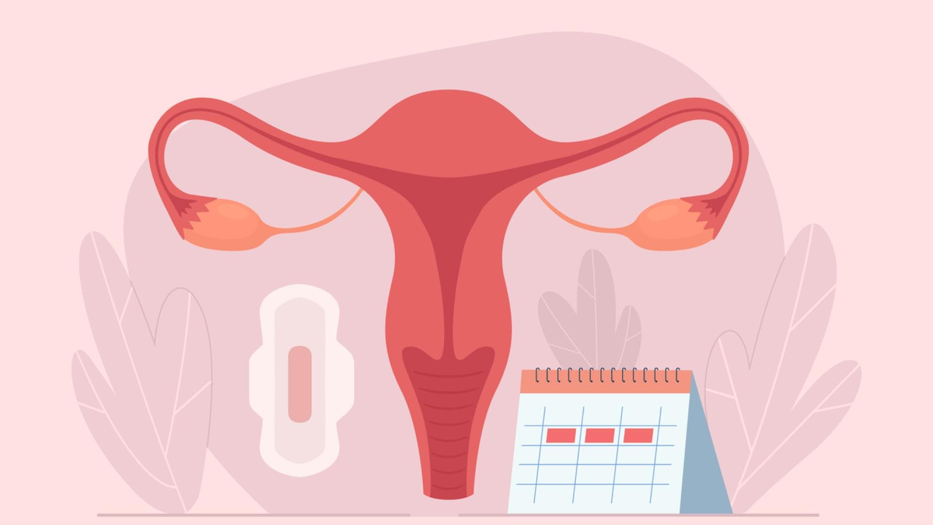 Der Menstruationszyklus ist ein enorm komplexer Prozess Grafik einer Gebärmutter mit Bine und Kalender, um den Menstruationszyklus darzustellen