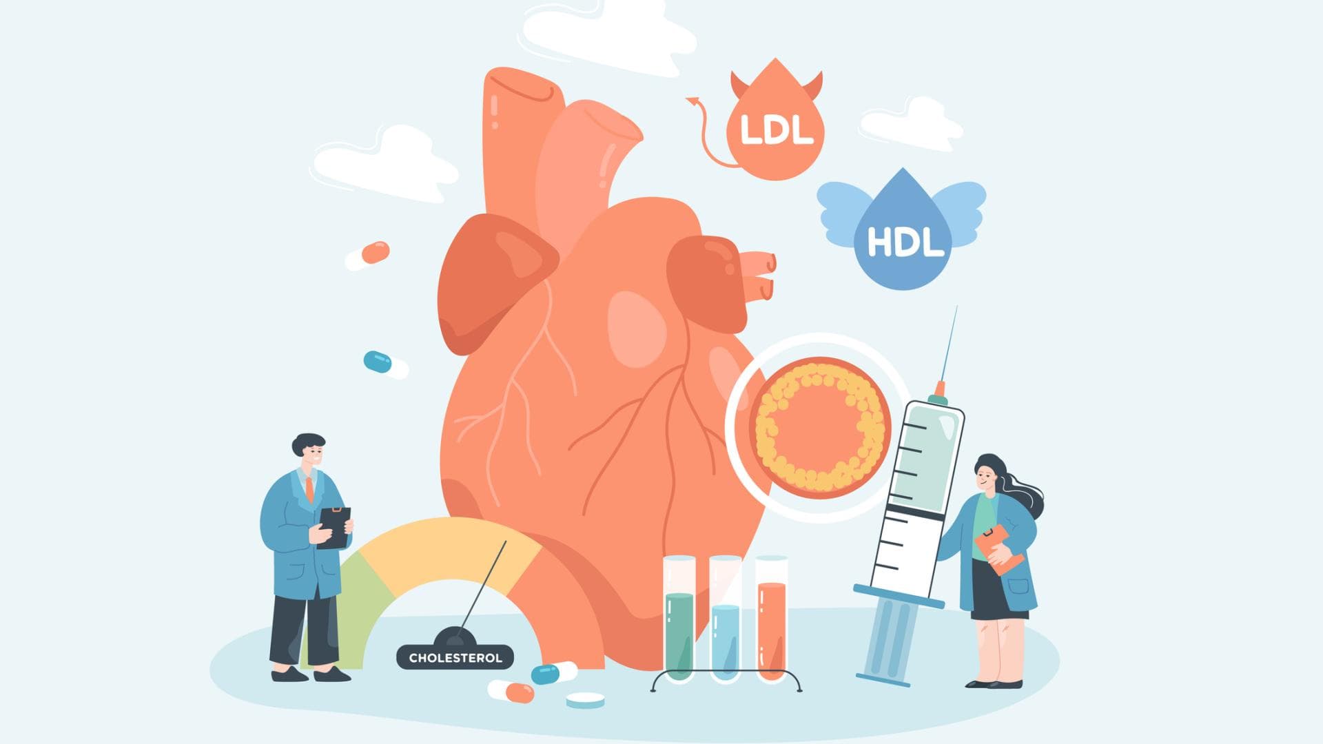 Cholesterinerkrankungen Cholesterinerkrankungen