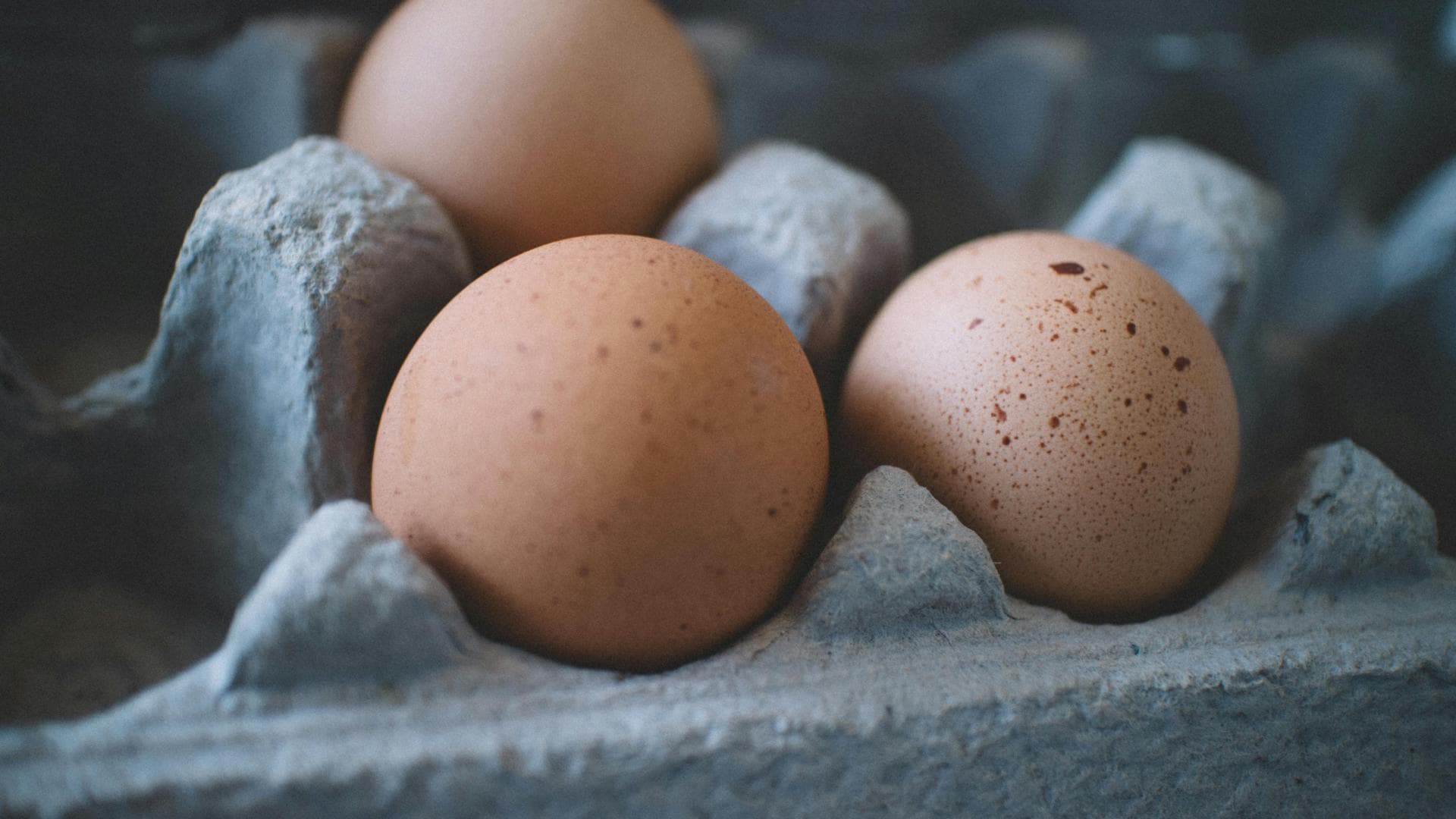 Eier in Karton-Verpackung