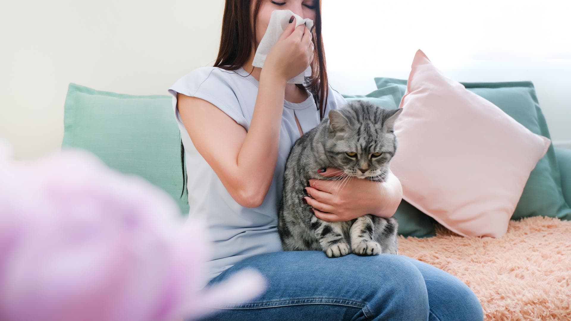 Frau hat Katze auf dem Schoß und muss sich die Nase putzen Frau hat Katze auf dem Schoß und muss sich die Nase putzen