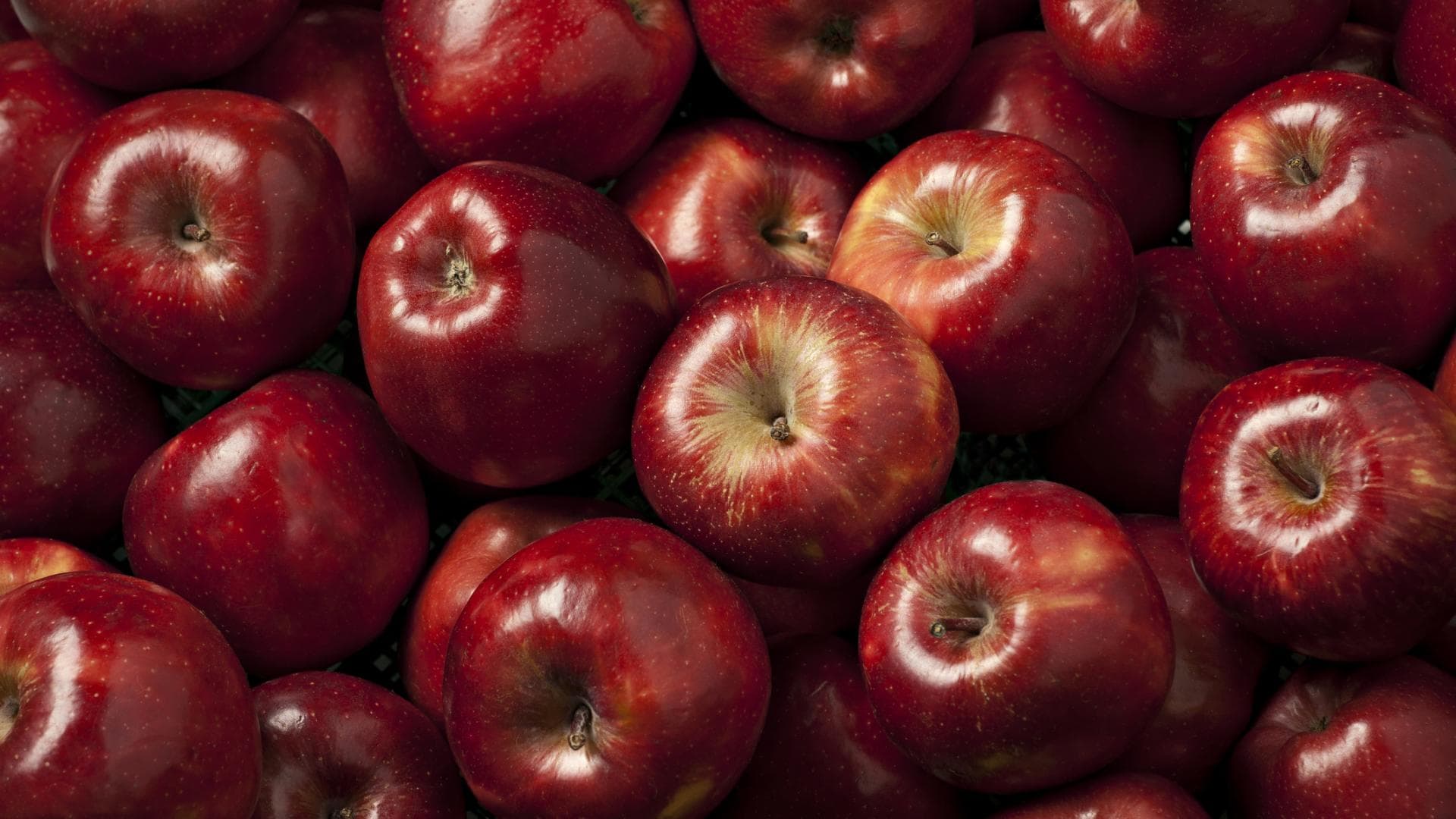 Glänzende rote Äpfel Glänzende rote Äpfel