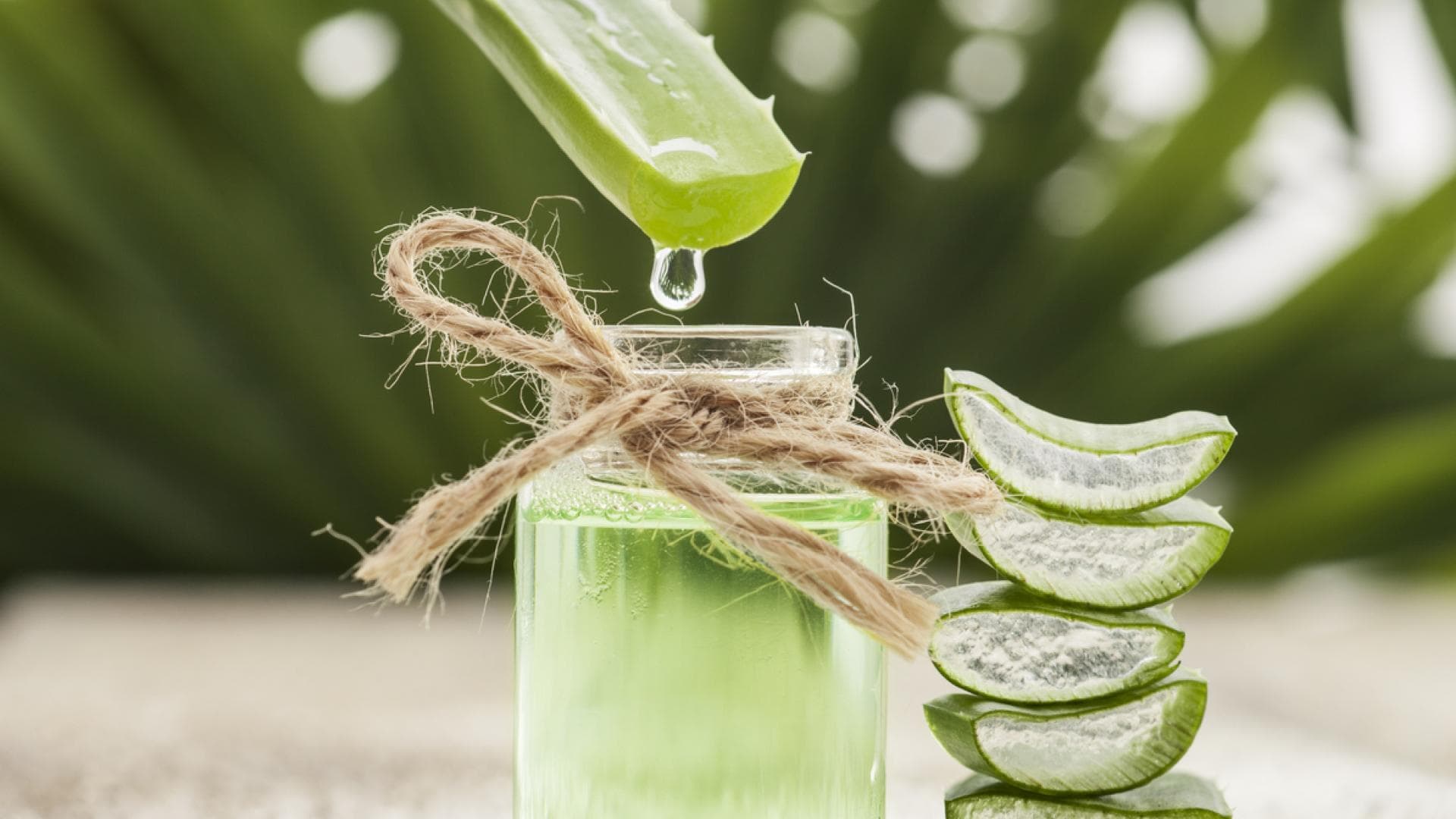Botanical Drinks erfreuen sich wachsender Beliebtheit. Botanical Drinks