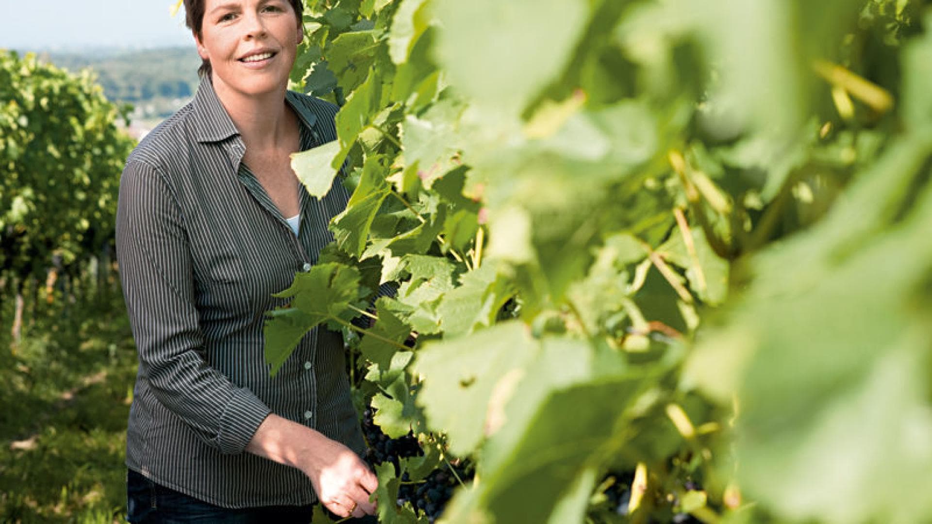 Winzerin Andrea Engler-Waibel Winzerin Andrea Engler-Waibel