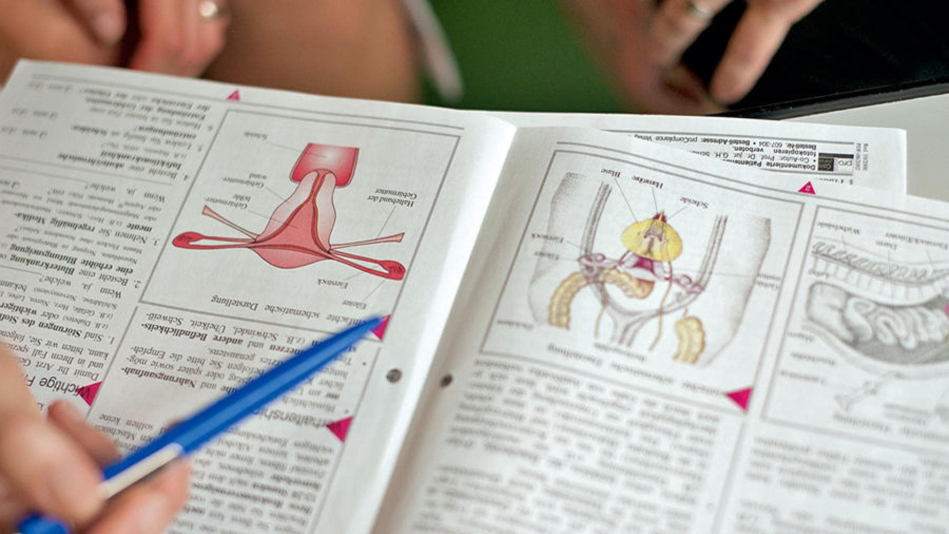 Es wird geschätzt, dass zwischen 8 und 15 Prozent aller Frauen in Deutschland an Endometriose leiden. 