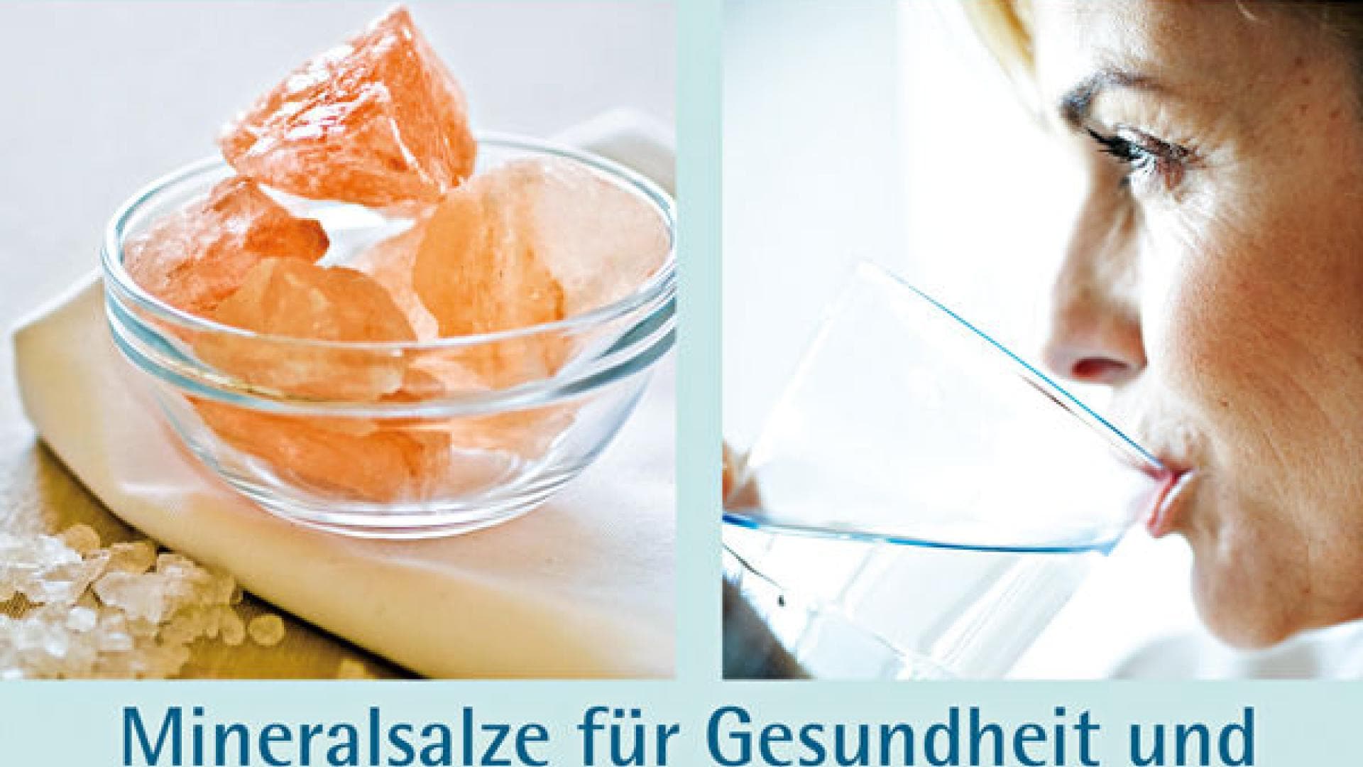 Das große Handbuch Schüßler-Salze Das große Handbuch Schüßler-Salze
