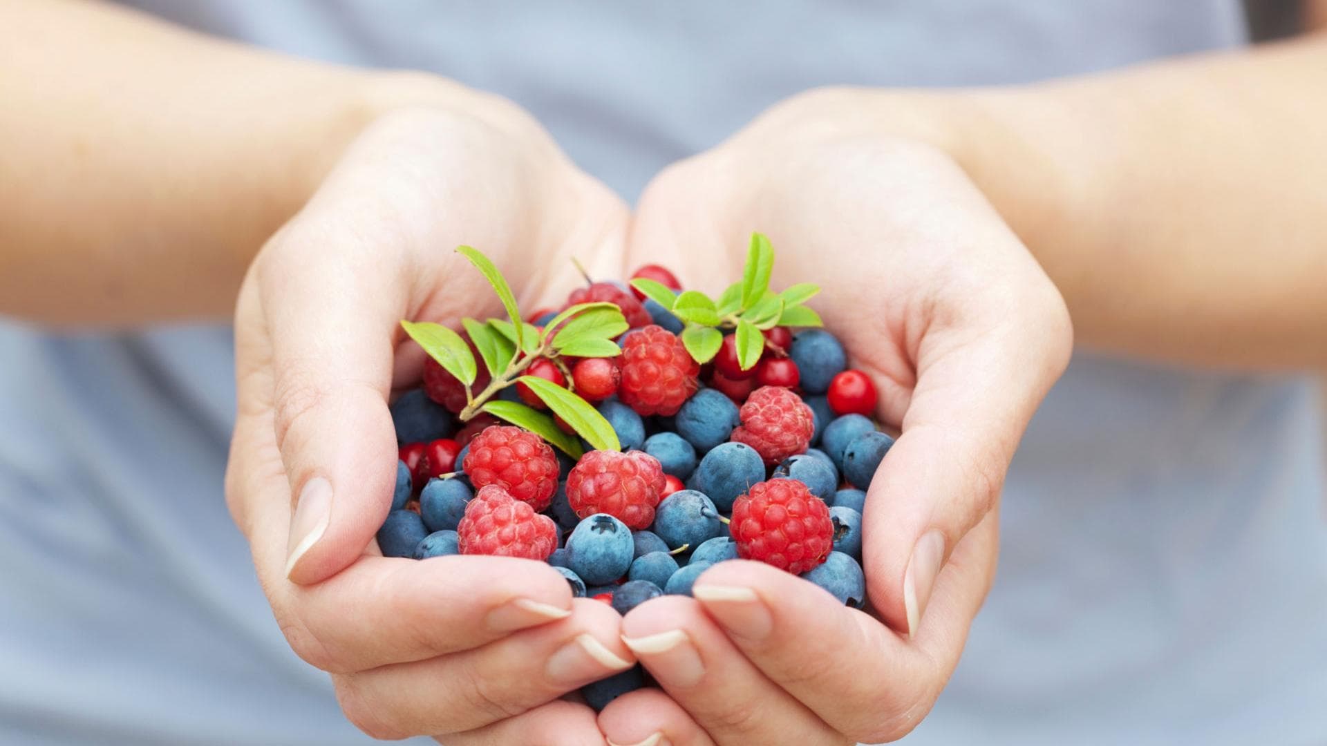 Frau hält Beeren in den Händen Frau hält Beeren in den Händen