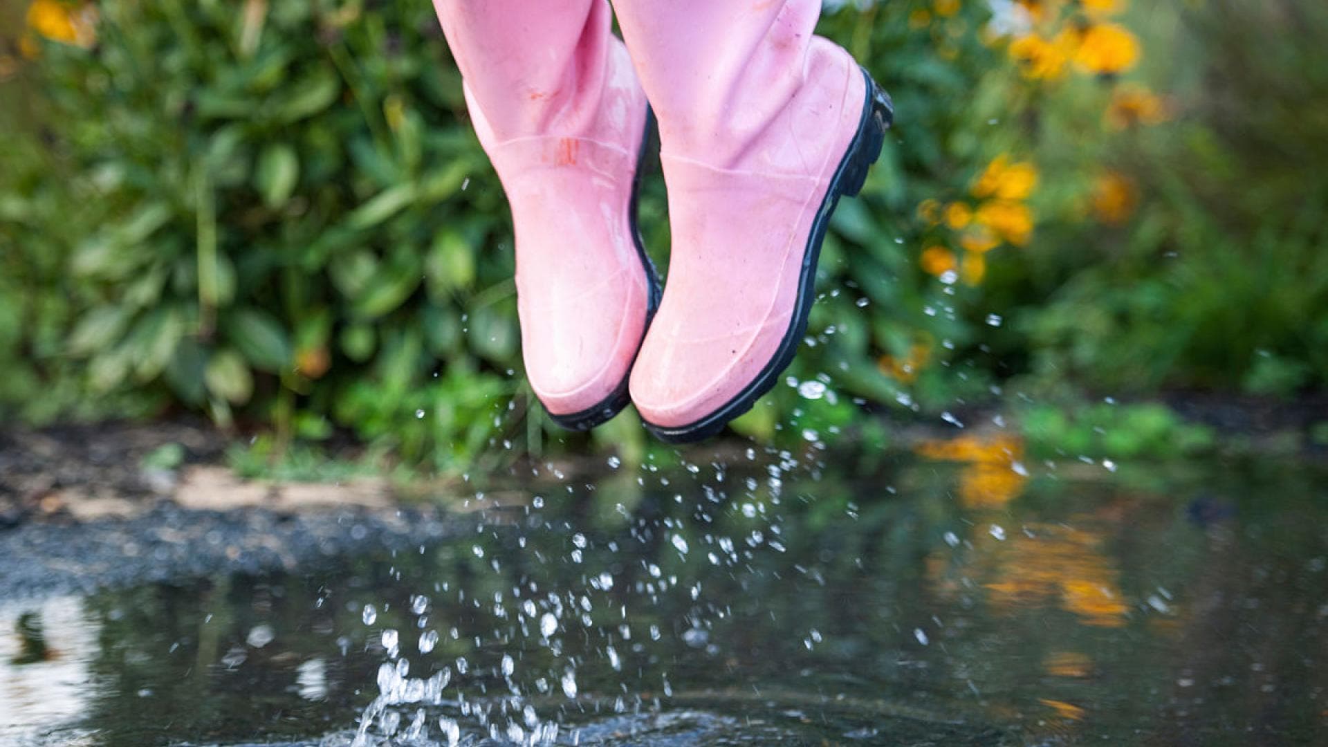 Gummistiefel in Rosa