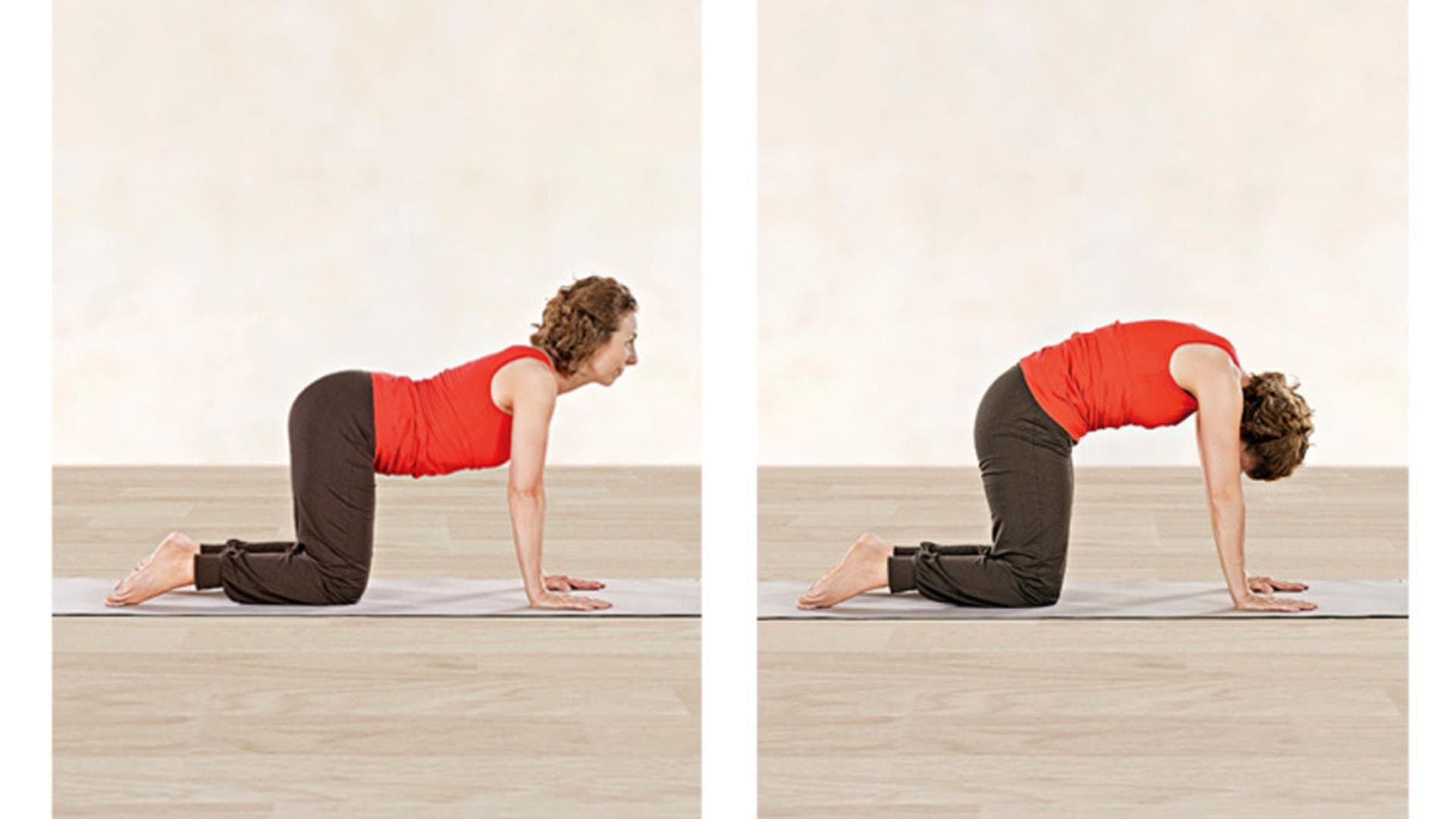 Yoga-Übungen Katze und Kuh Yoga-Übungen Katze und Kuh