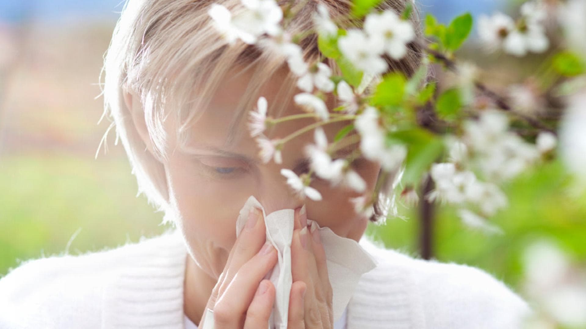 Frau leidet unter allergischem Asthma. Frau leidet unter allergischem Asthma.
