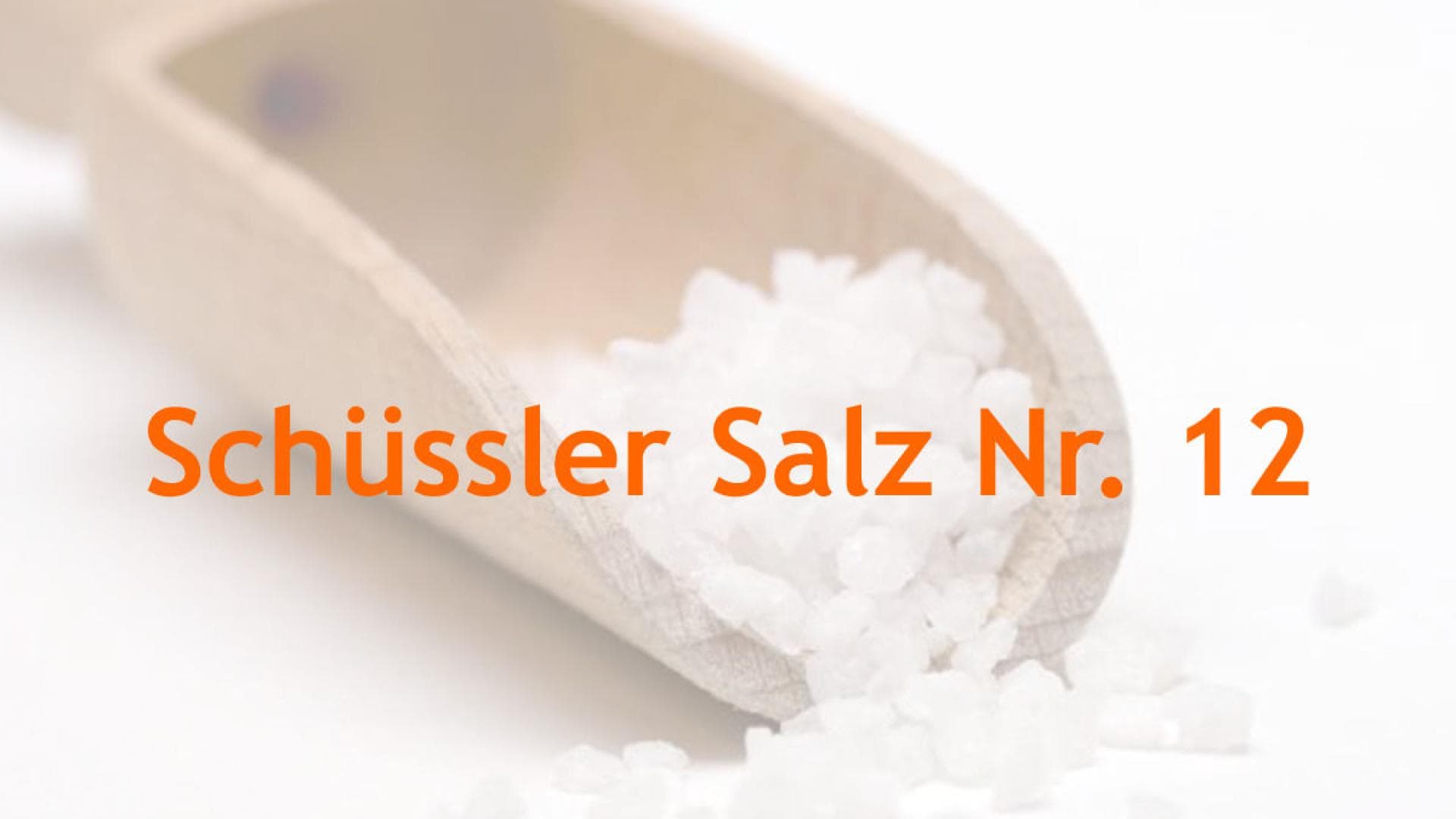 Die 12 Schüssler Salze 