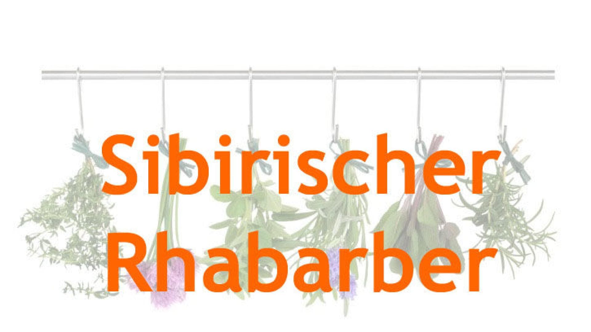 mittel-wechseljahre mittel-wechseljahre