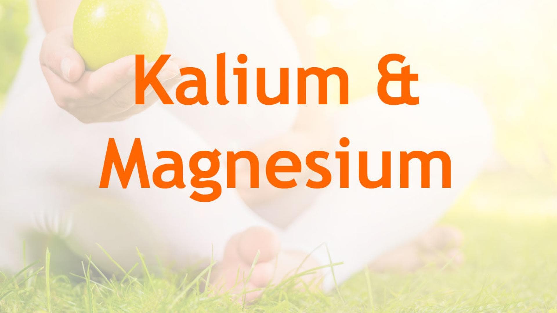 schwangere Frau mit Apfel Vitamine in der Schwangerschaft