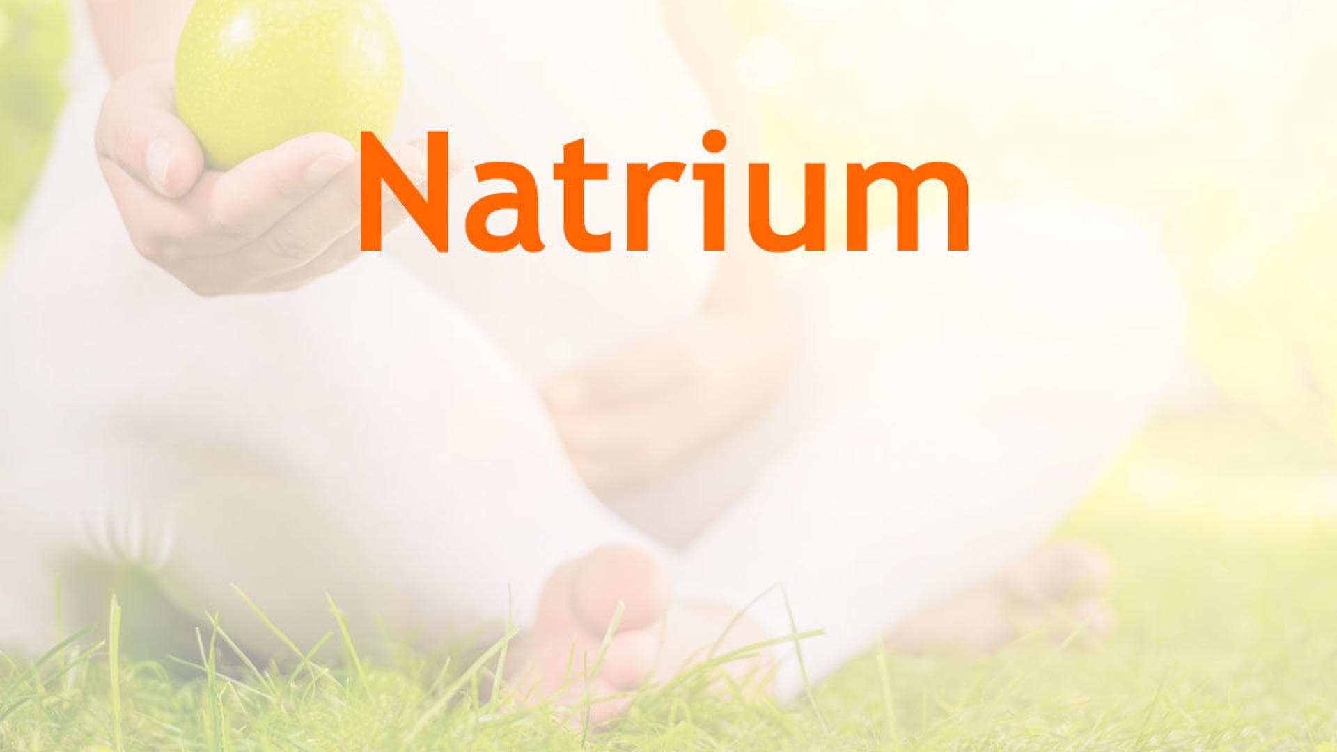 schwangere Frau mit Apfel Vitamine in der Schwangerschaft