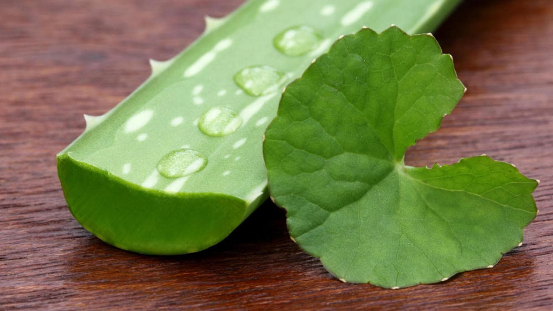 aloe-vera-saft_bei_mandelentzundungen aloe-vera-saft_bei_mandelentzundungen