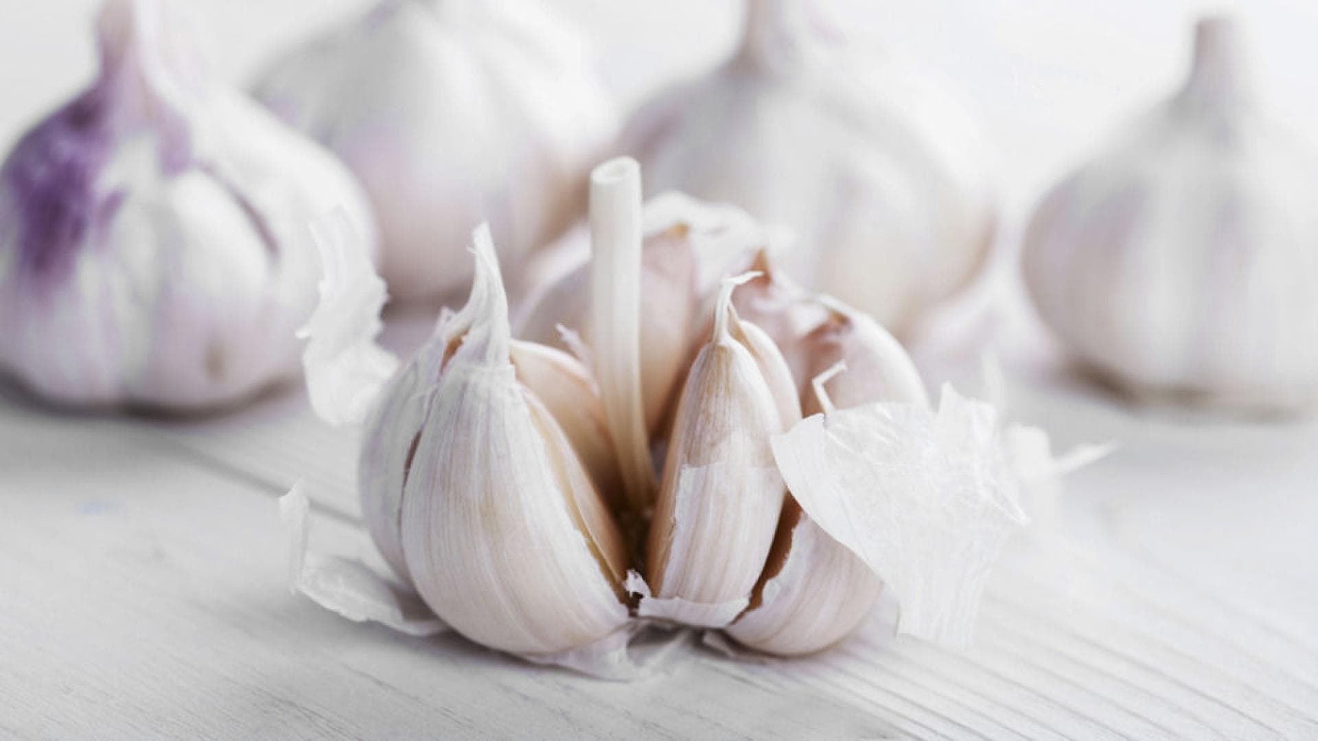Frischer Knoblauch hilft gegen Erkältung knoblauch-bei-lungenentzundung