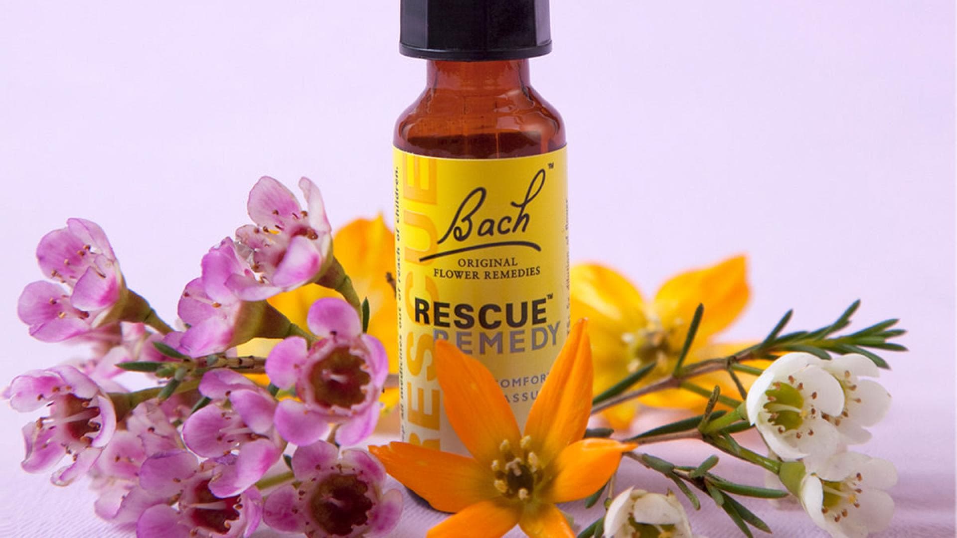 Bachblüten Bachblüten