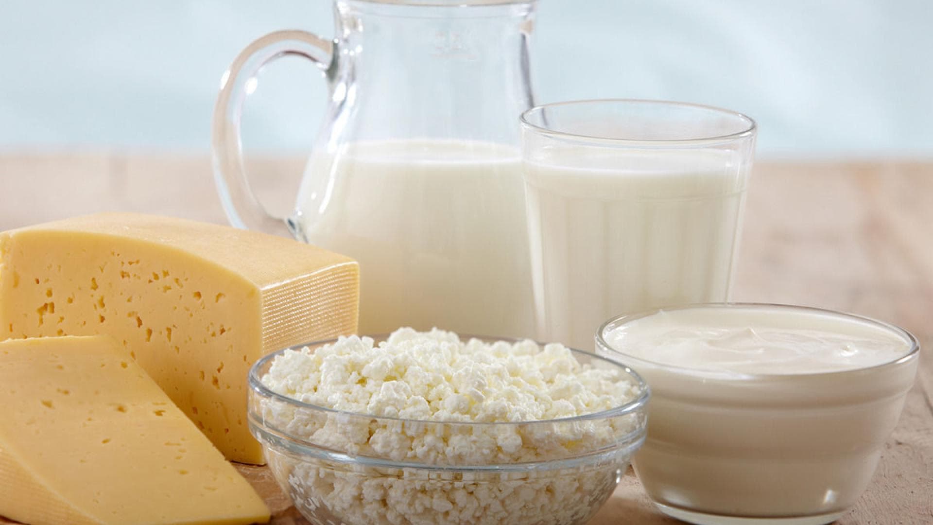 Gesunde Milchprodukte Gesunde Milchprodukte