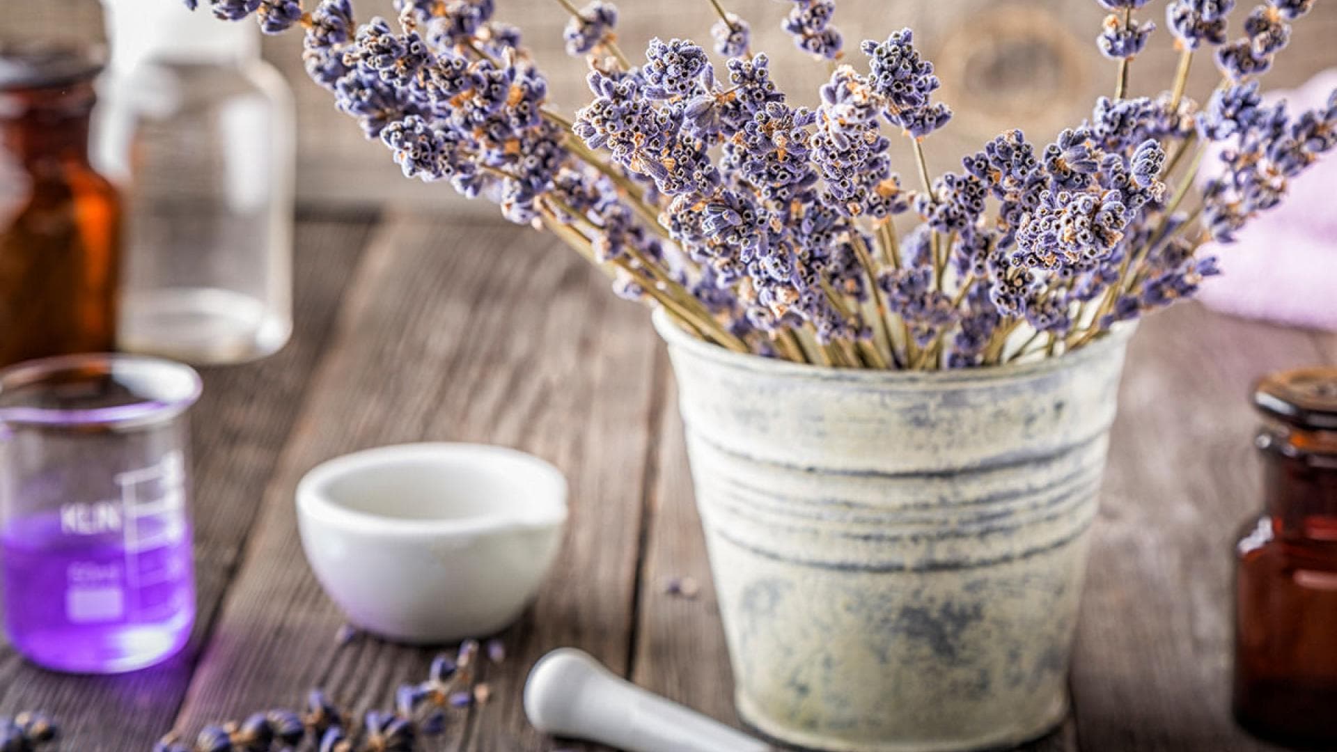 Natürliche Haarspülung mit Lavendel Lavendel im Topf auf einem Tisch
