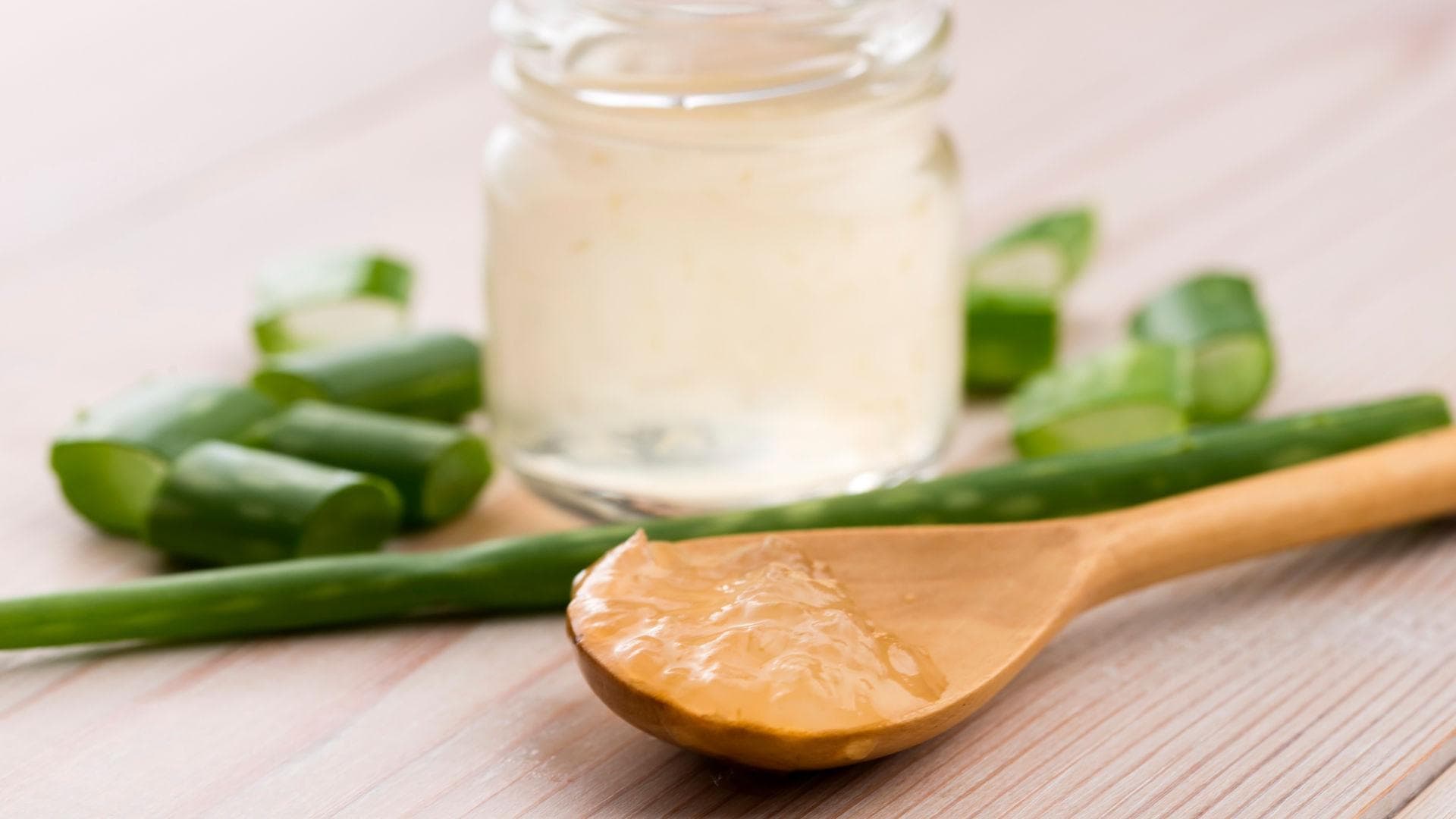 Aloe-Vera Aloe Vera als Hausmittel