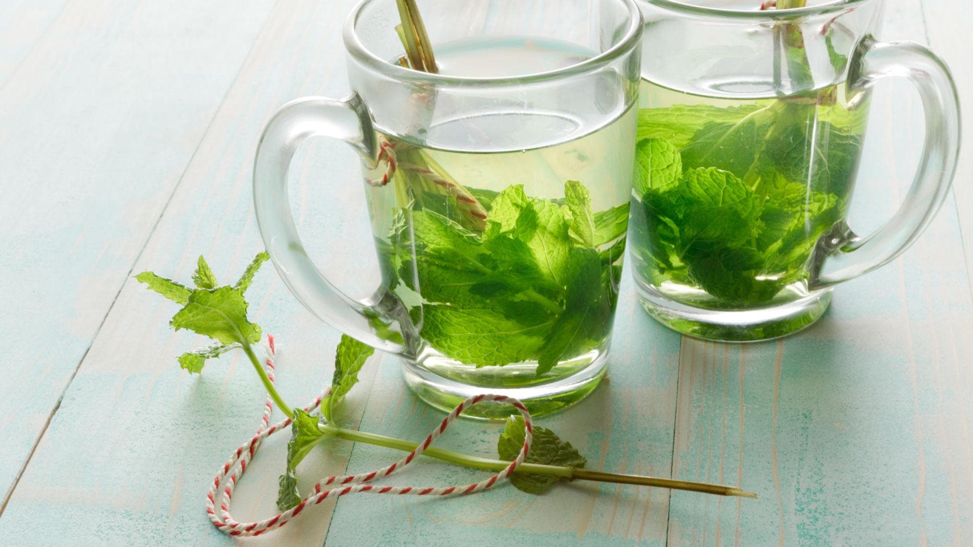 Kadamom-Minz-Tee Detox-Tee mit Kadamom und Minze
