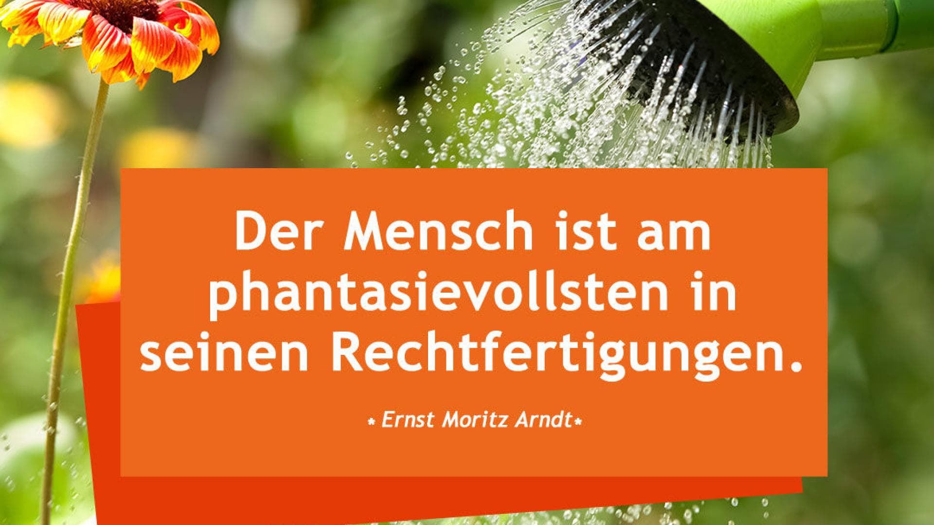 Vital-Spruch-des-Tages_phantasievolle-Rechtfertigungen Der Mensch ist am phantasievollsten in seinen Rechtfertigungen.