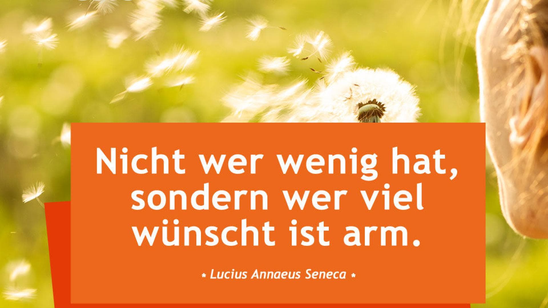 Vital-Spruch-des-Tages_wer-viel-wünscht Nicht wer wenig hat, sondern viel wünscht ist arm.