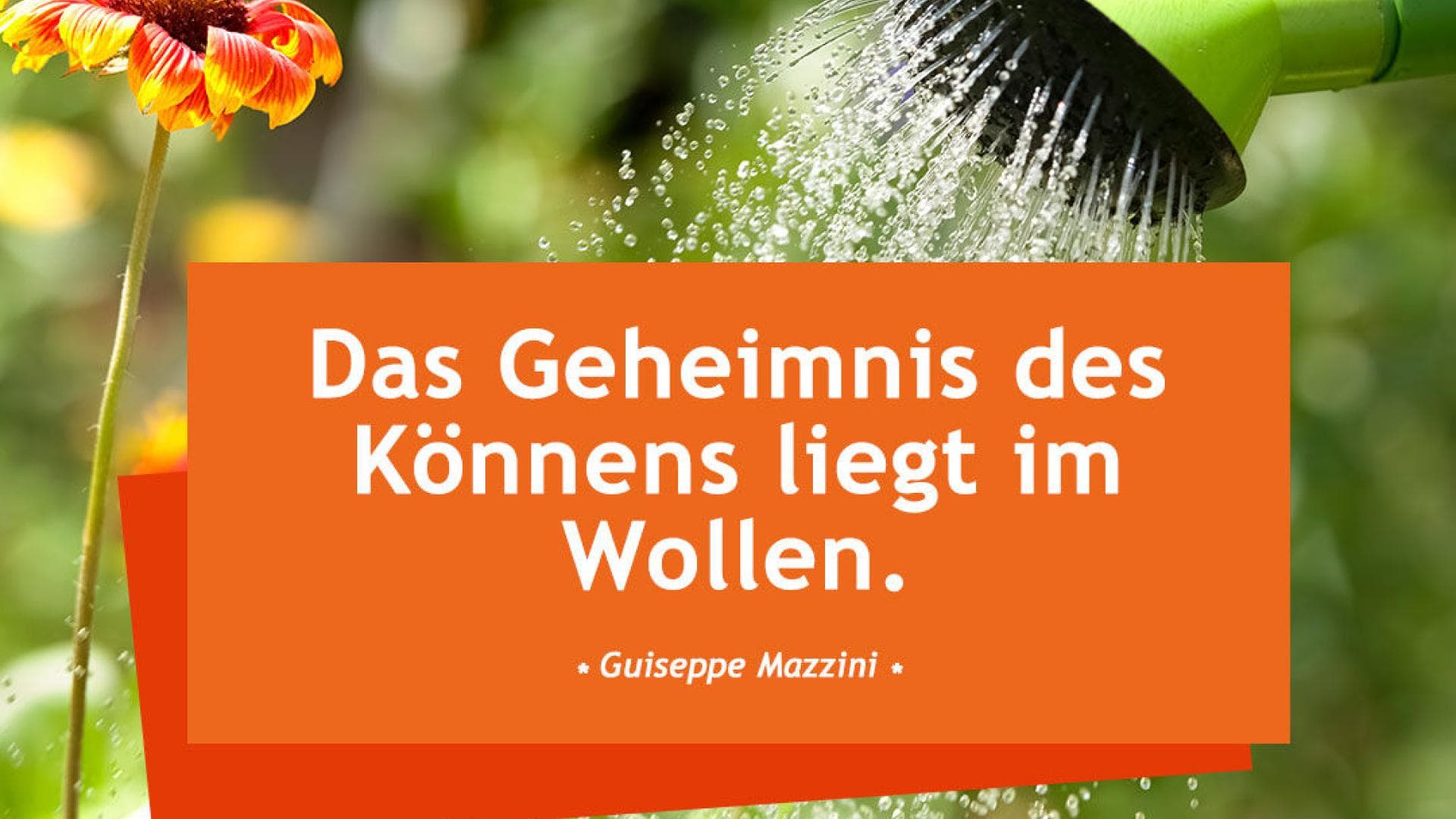 Vital_Spruch-des-Tages_Wollen Das Geheimnis des Könnens liegt im Wollen.