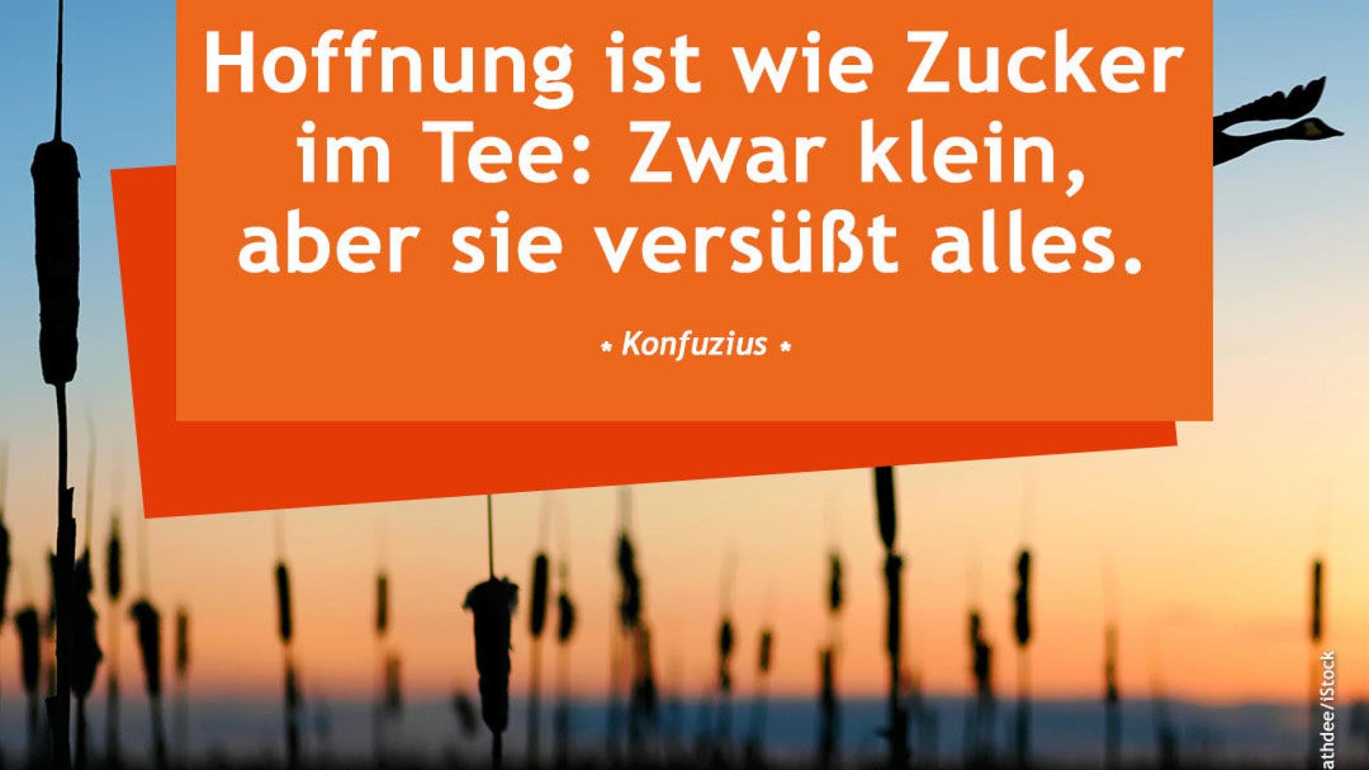 Vital_Spruch-des-Tages_hoffnung Hoffnung ist wie Zucker im Tee: Zwar klein, aber sie versüßt alles.