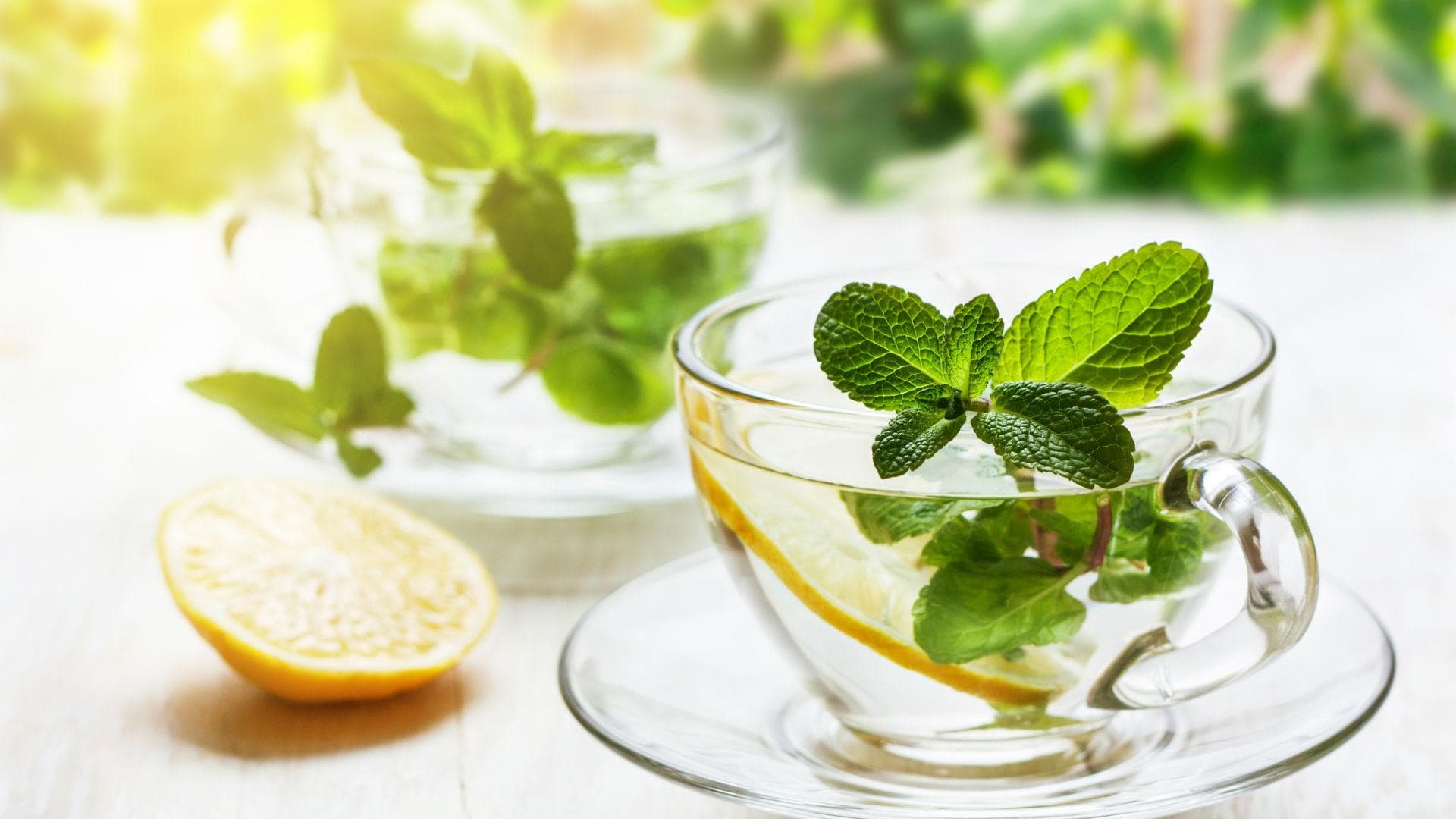 Zitrone-Minz Tee Rezept: Tee mit Zitrone und Minze