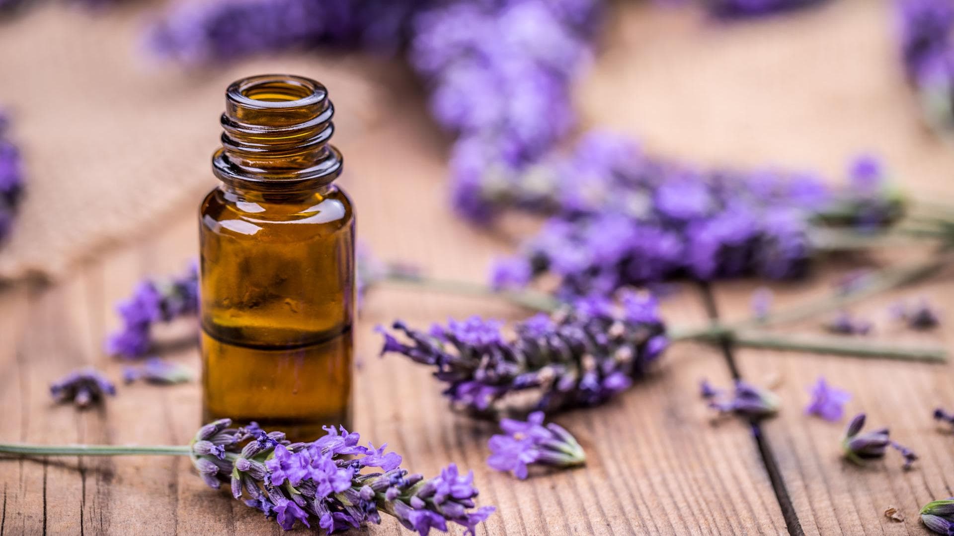 Lavendel Lavendel als Hausmittel