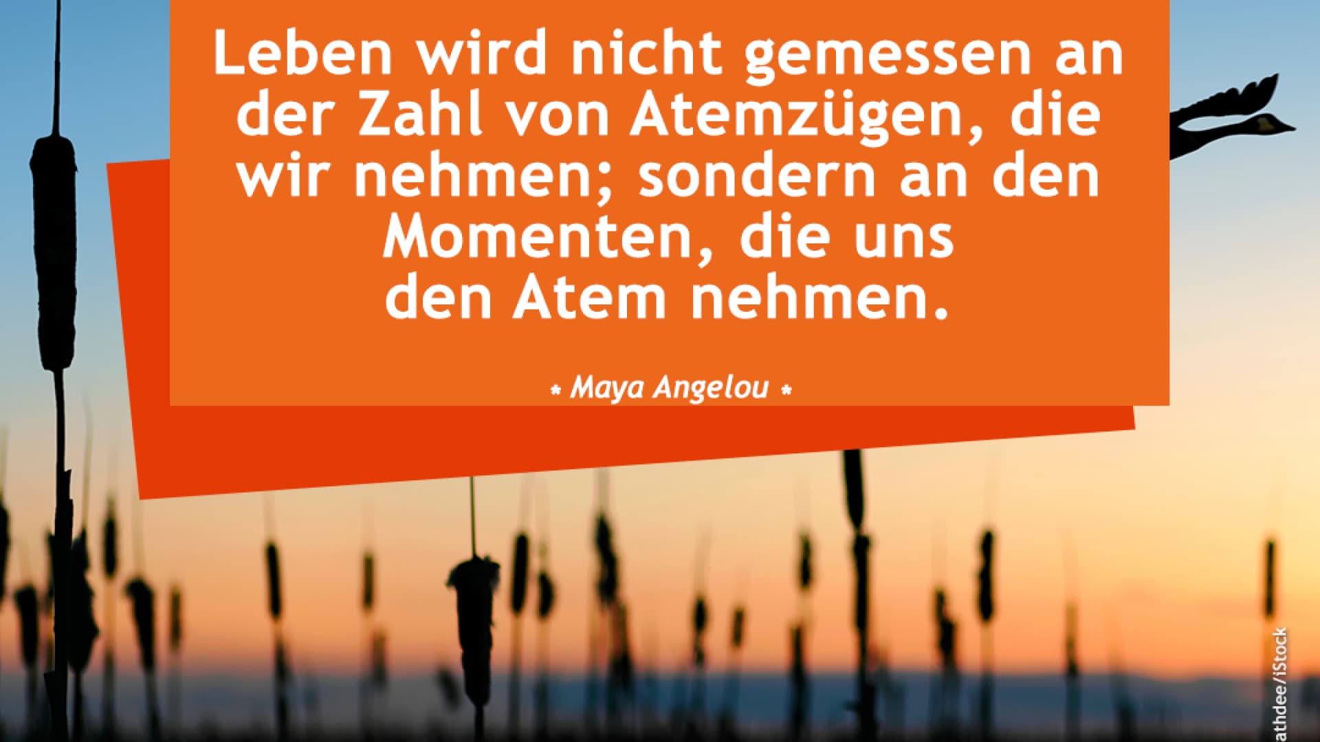 vital_spruch_atem Leben wird nicht gemessen an der Zahl von Atemzügen, die wir nehmen; sondern an den Momenten, die uns den Atem nehmen.