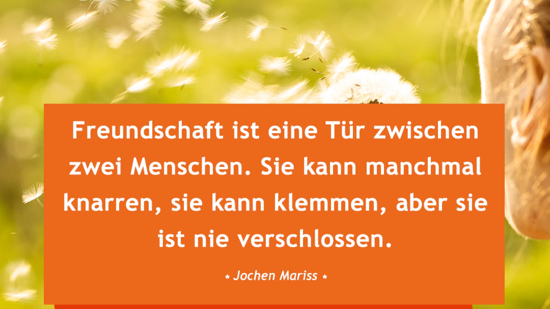 vital_spruch_freundschaft Freundschaft ist eine Tür zwischen zwei menschen. Sie kann manchmal knarren, sie kann klemmen, aber sie ist nie verschlossen.