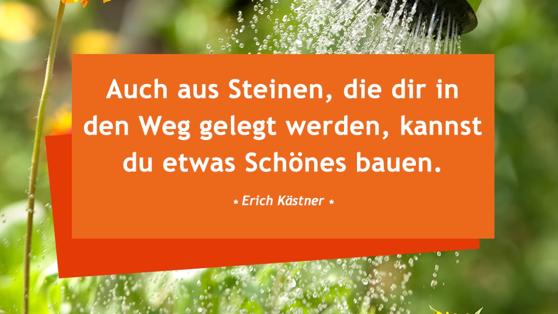 vital_spruch_steine Auch aus Steinen, die dir in den Weg gelegt werden, kannst du etwas schönes bauen.