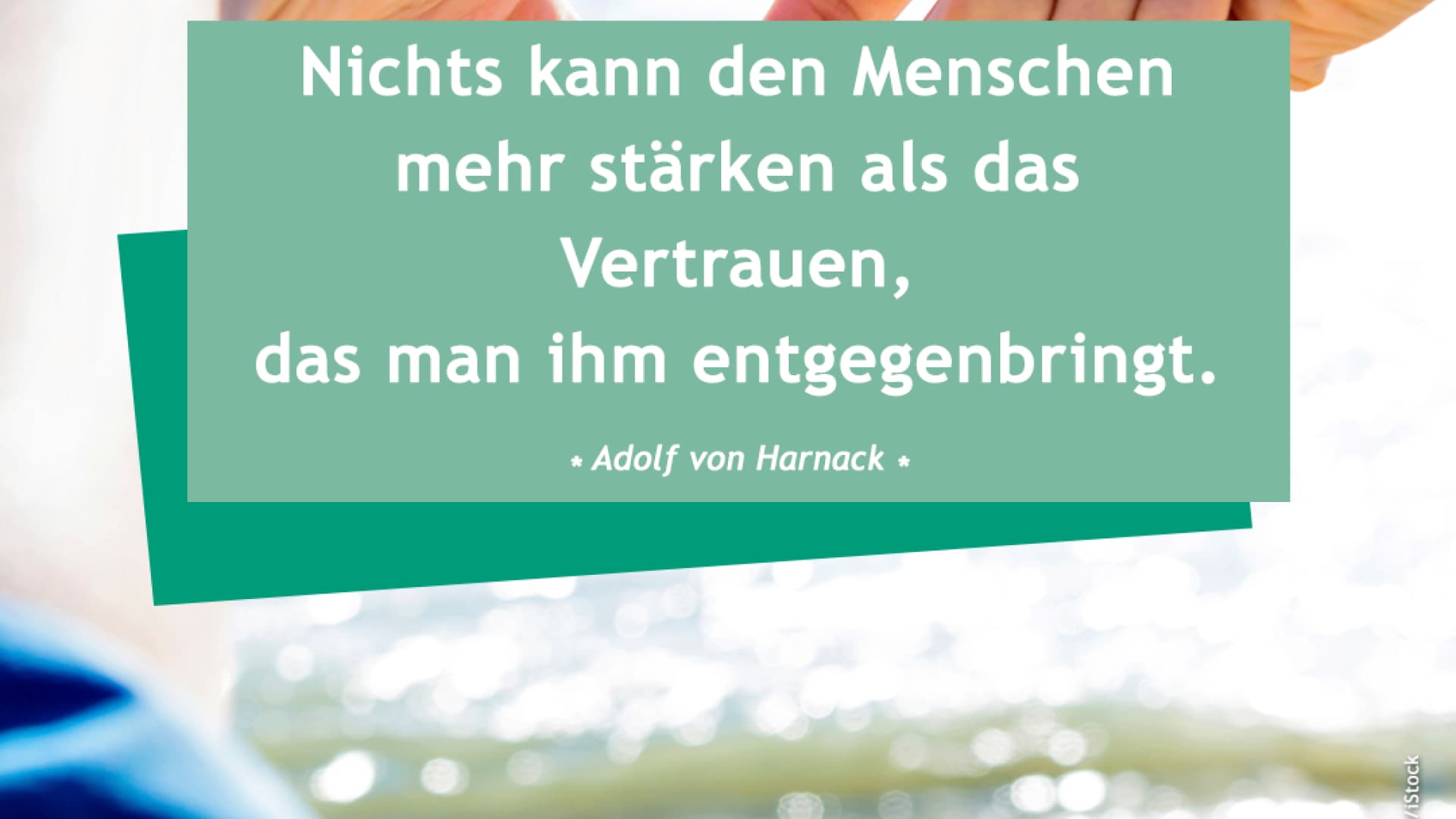 vital_spruch_vertrauen Nichts kann den Menschen mehr stärken als das Vertrauen, das man ihm entgegenbringt.