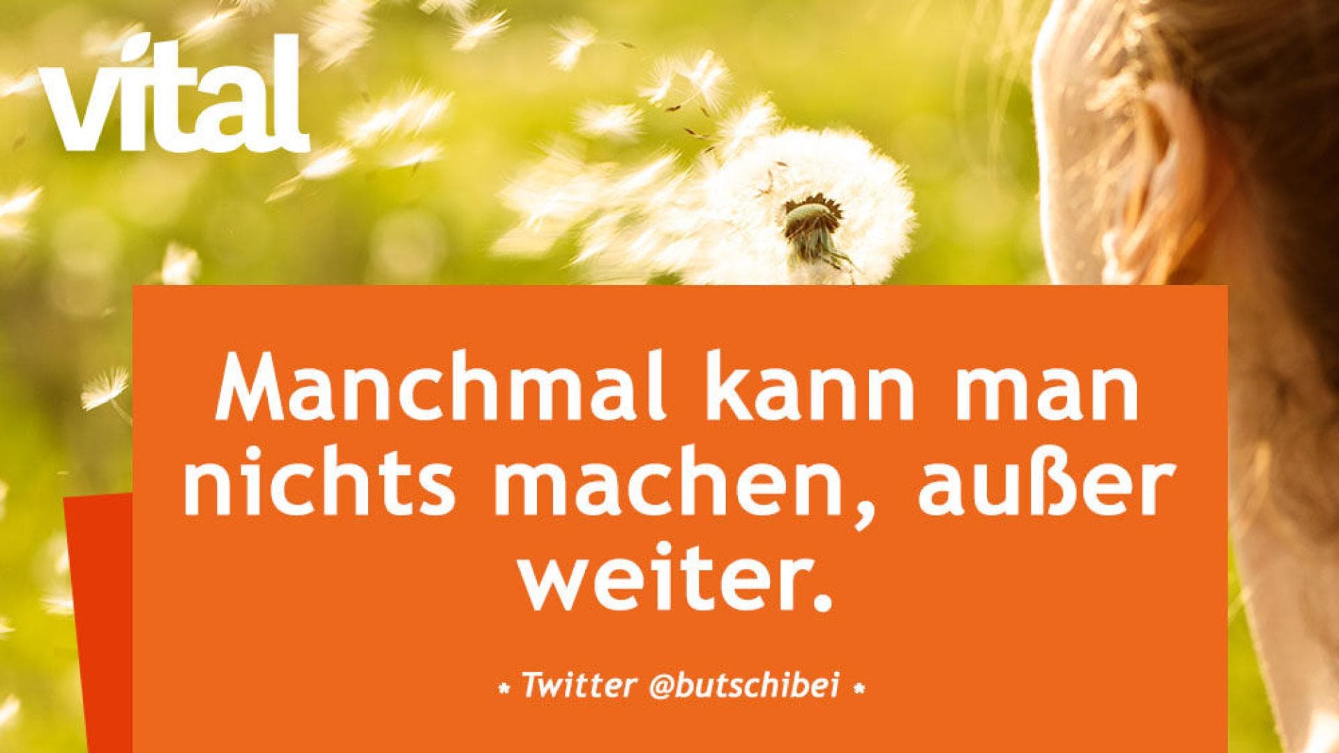 vital_spruch_weitermachen Manchmal kann man nichts machen, außer weiter.