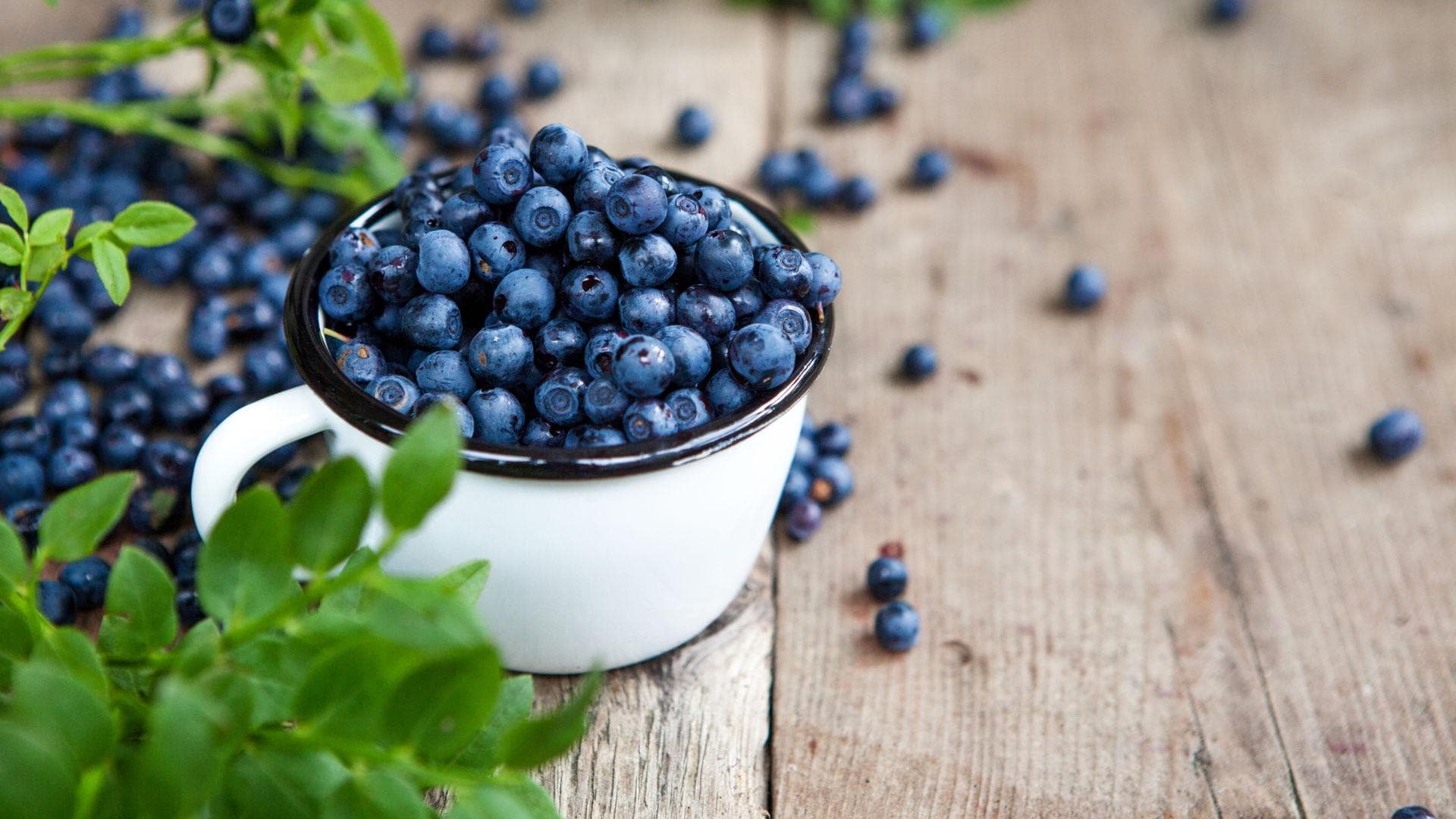 Blaubeeren Heidelbeeren wird eine desinfizierende Wirkung nachgesagt