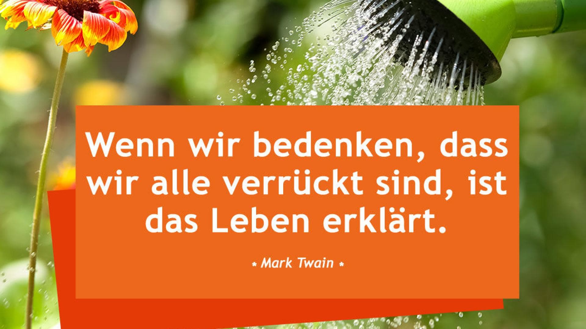 Vital-Spruch-des-Tages_Erklärung-für-Leben Wenn wir bedenken, dass wir alle verrückt sind, ist das Leben erklärt. - Mark Twain