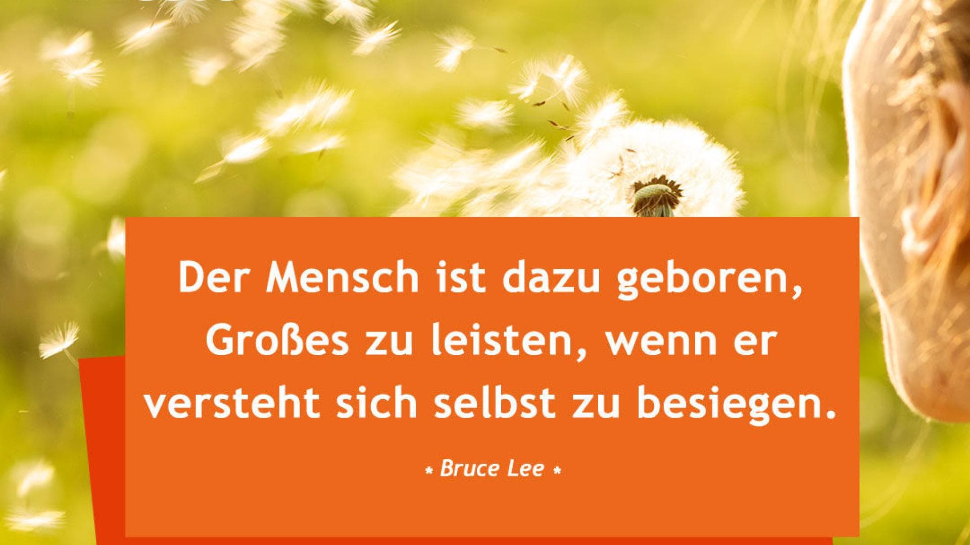 Vital-Spruch-des-Tages_Großes-leisten Der Mensch ist dazu geboren, Großes zu leisten, wenn er versteht sich selbst zu besiegen.