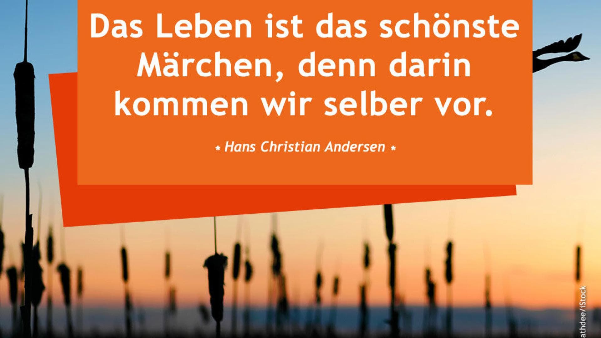 Vital-Spruch-des-Tages_Märchen Das Leben ist das schönste Märchen, denn darin kommen wir selber vor.