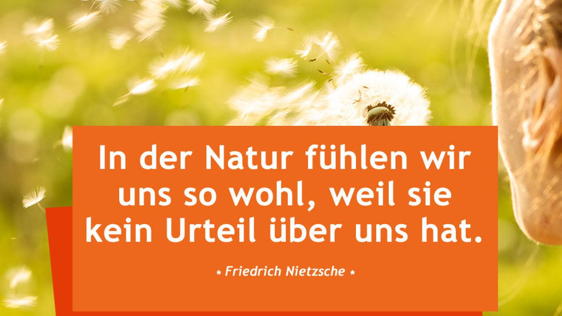 Vital-Spruch-des-Tages_Natur In der Natur fühlen wir uns wohl, weil sie kein urteil über uns hat.