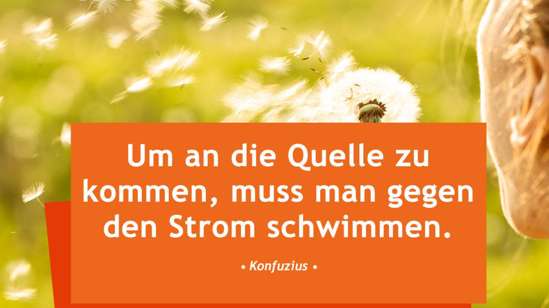 Vital-Spruch-des-Tages_gegen-den-Strom Um an die Quelle zu kommen, muss man gegen den Strom schwimmen. - Konfuzius