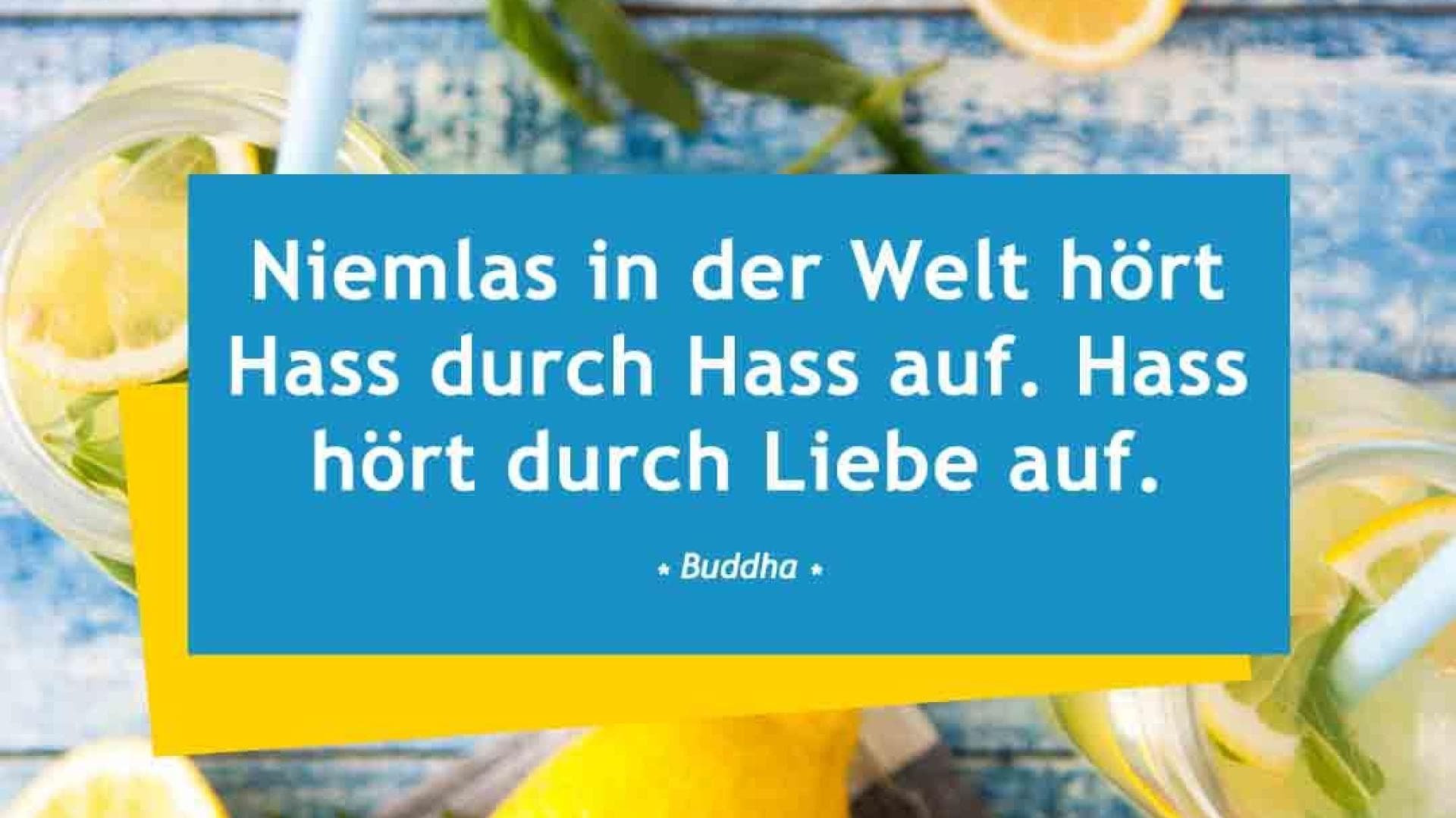Vital-Spruch-des-Tages_hass-liebe Niemals in der Welt hört Hass durch Hass auf. Hass hört nur durch Liebe auf. - Buddha